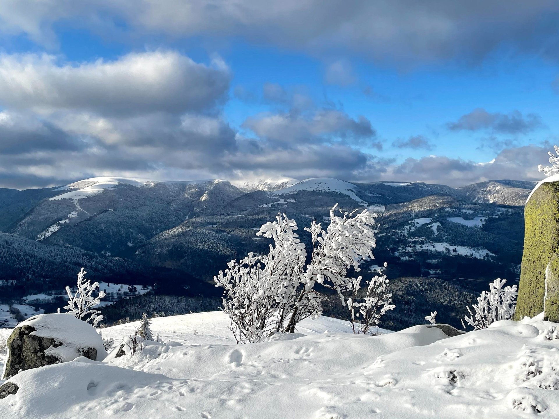 crètes vosgiennes enneigées vallée de Munster