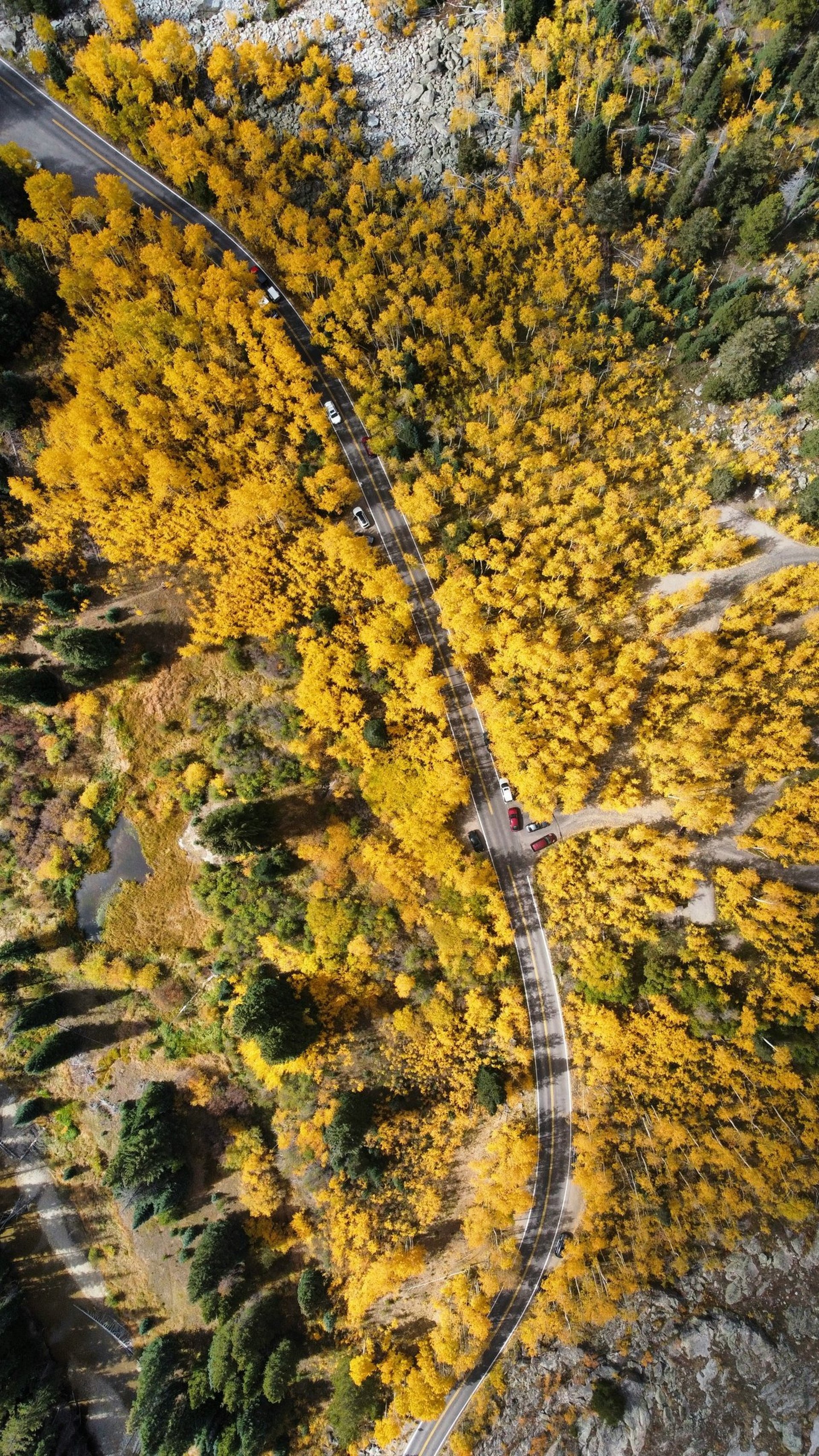 black blue and yellow textile