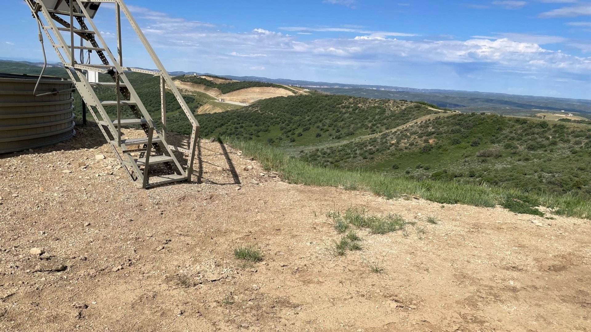 Nectagrity Story Image of Vegetation Management Site