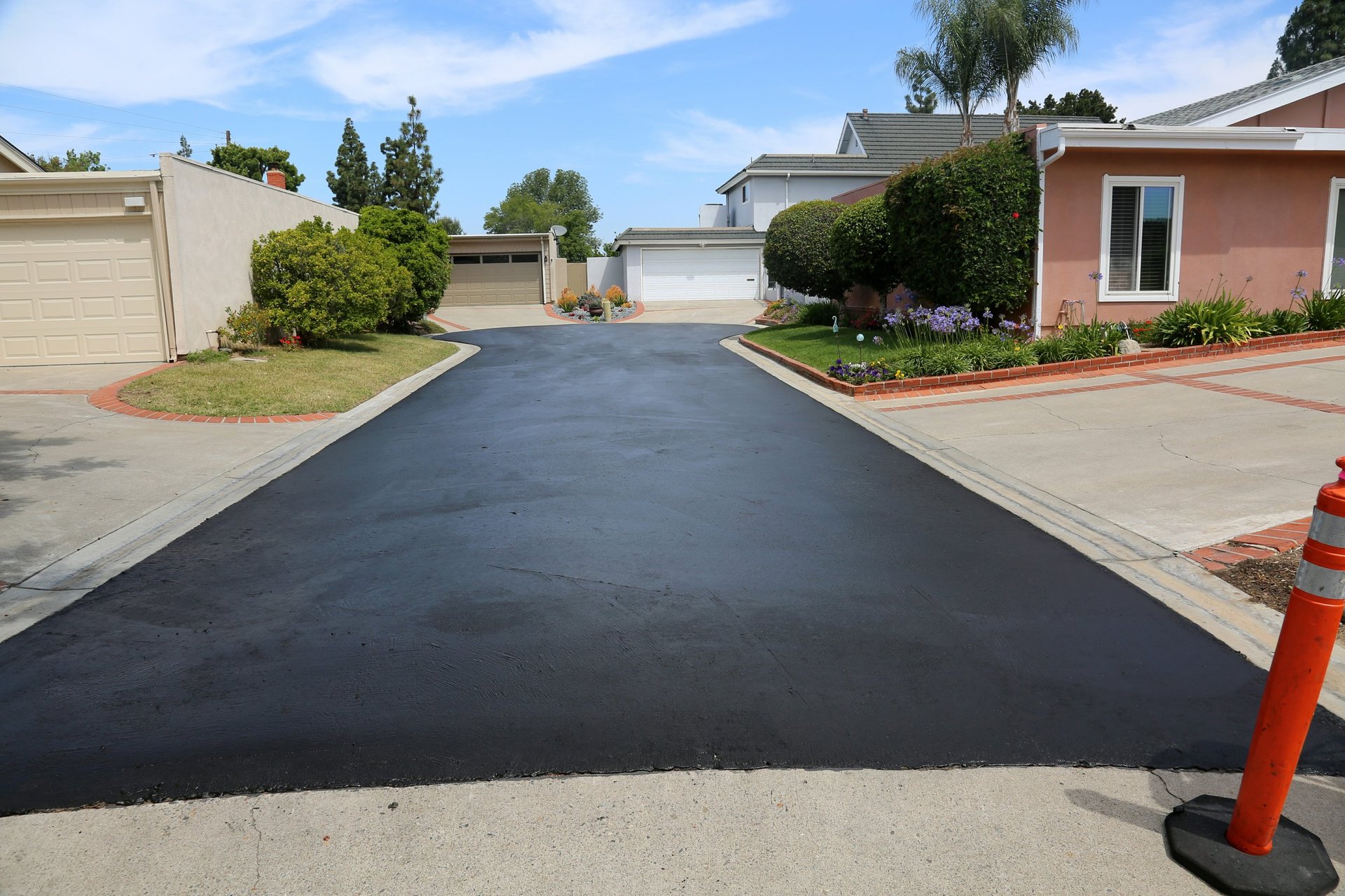 black concrete road surrounded by trees during daytime