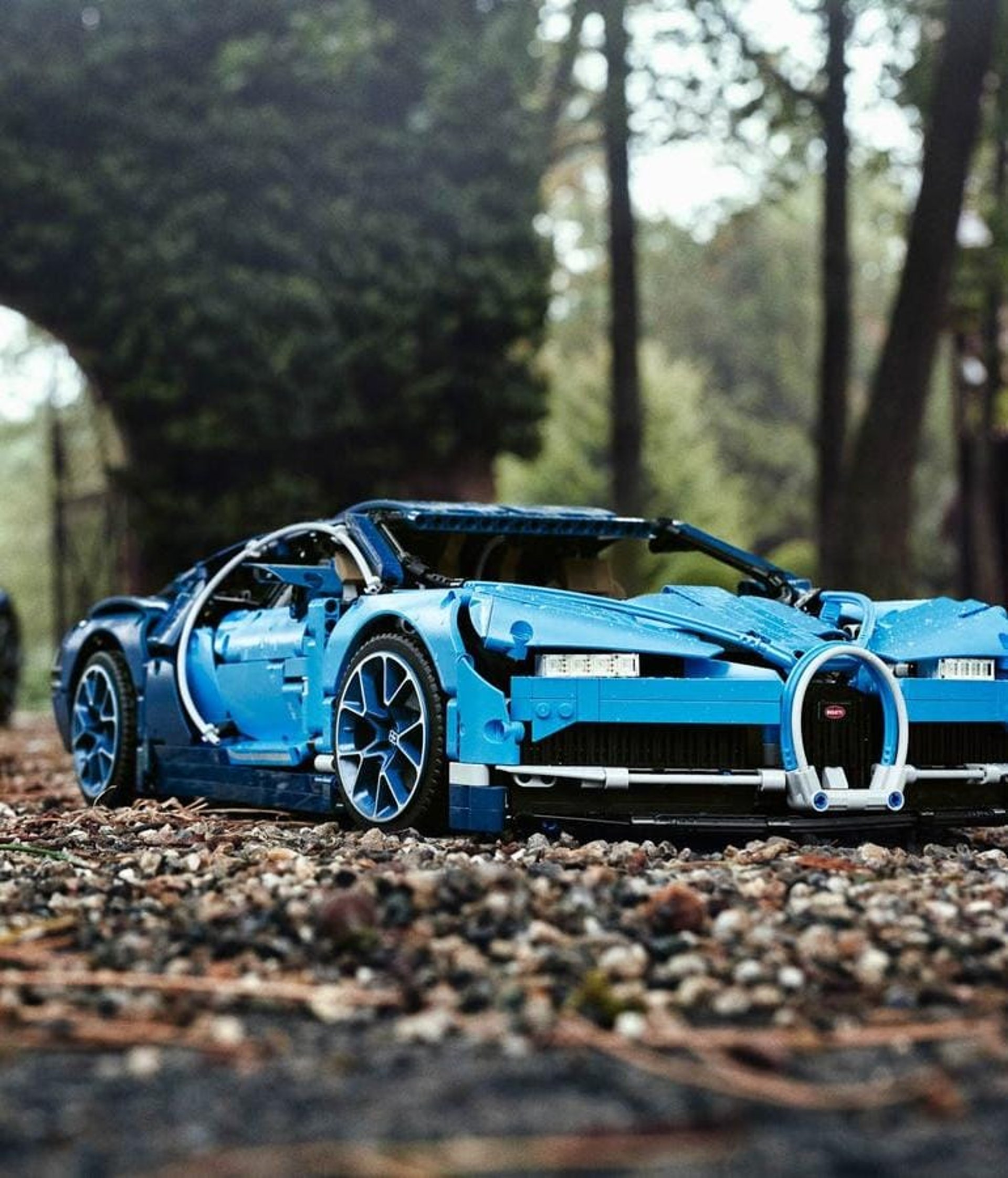 blue car on brown dried leaves