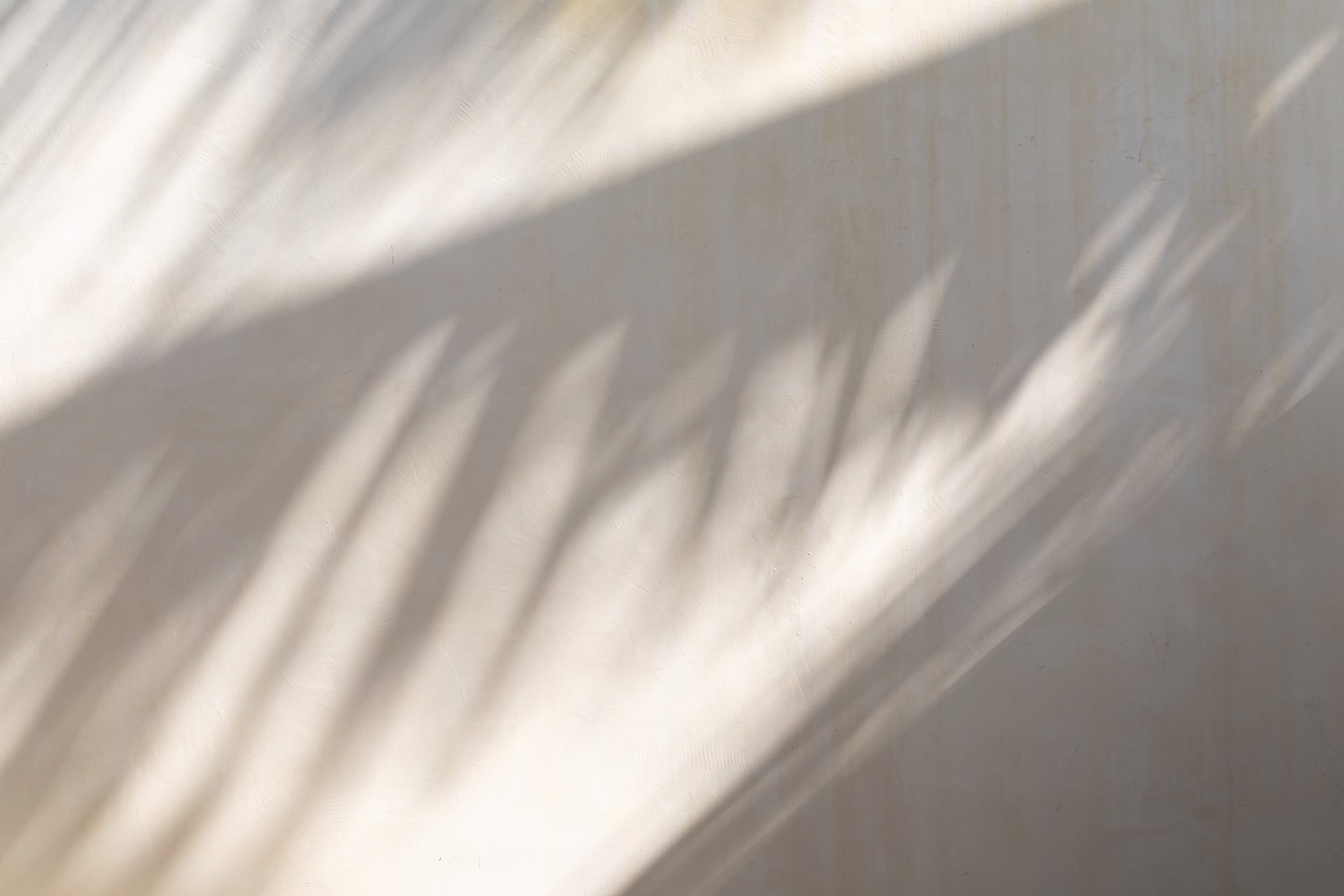 pink covered book in top view photography