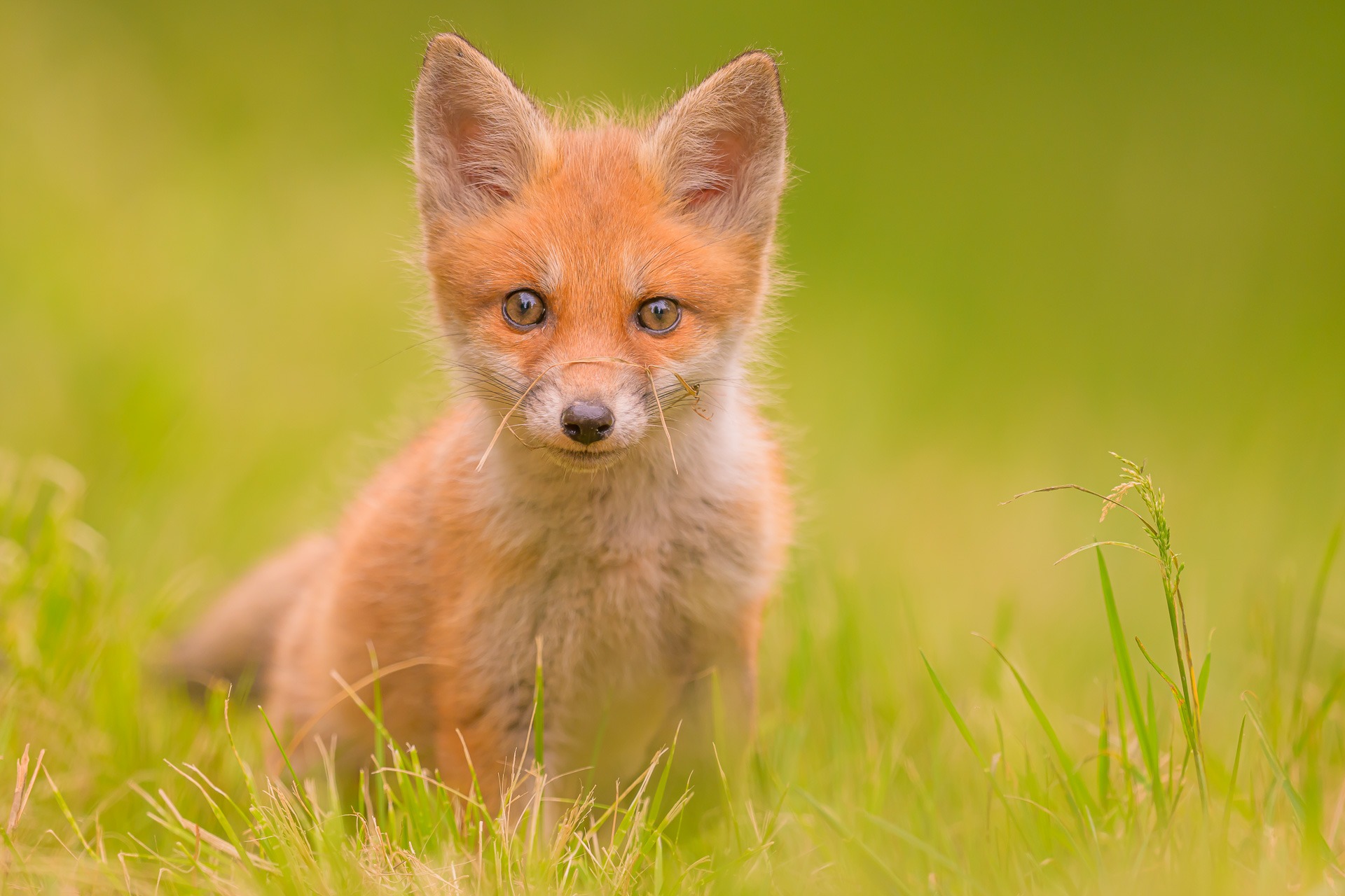 an abstract photo of a curved building with a blue sky in the background