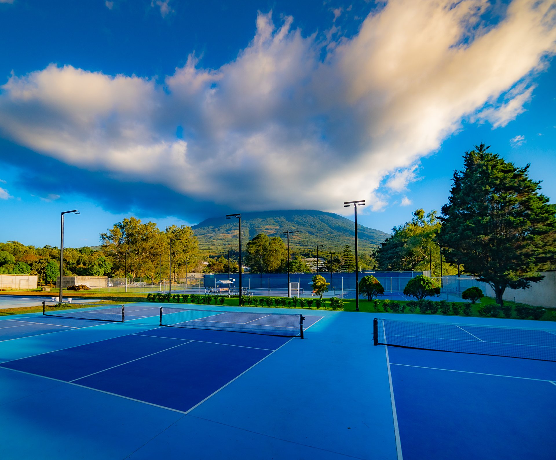 black blue and yellow textile