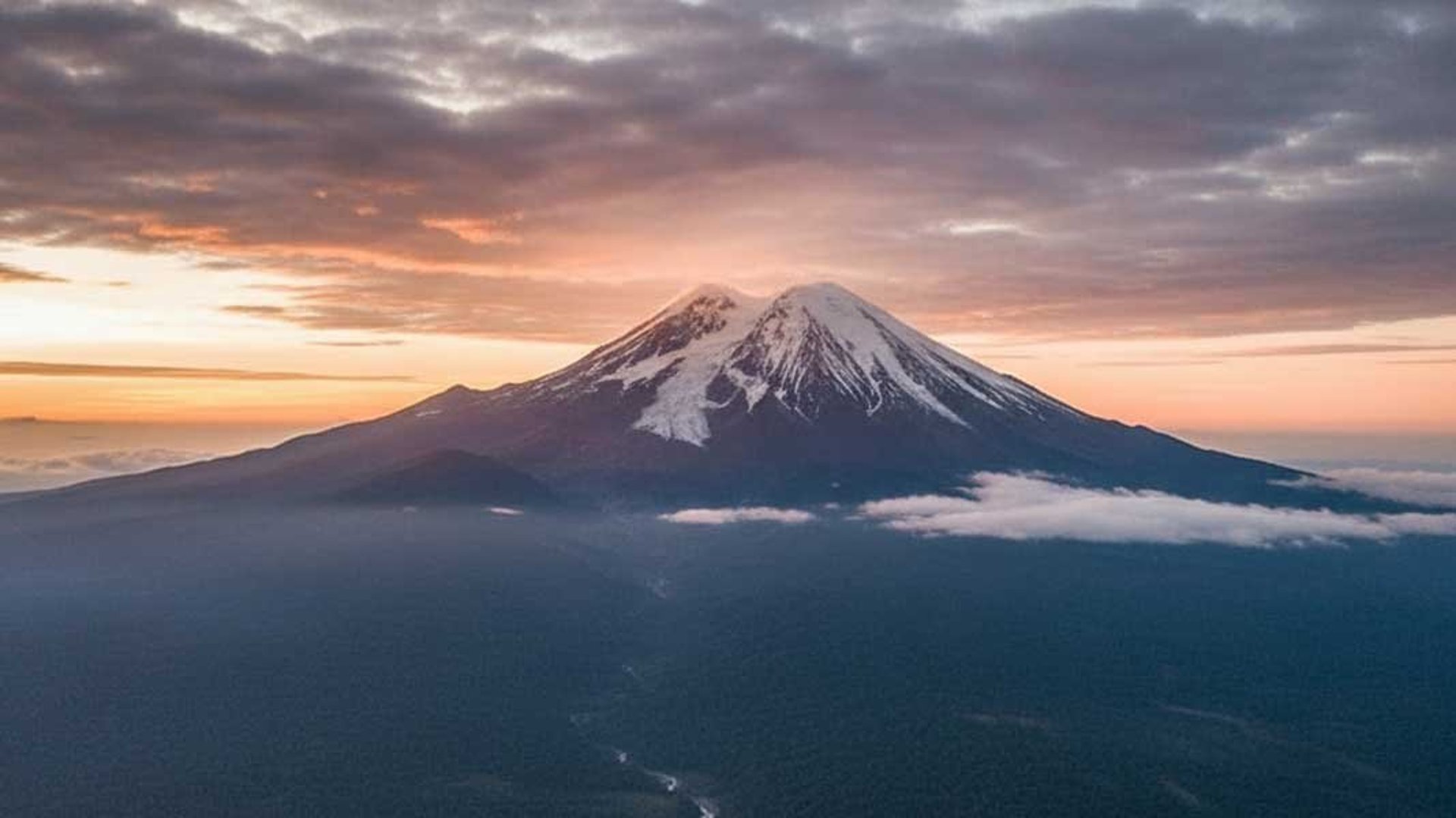 akuntan dan konsultan pajak di Jayawijaya