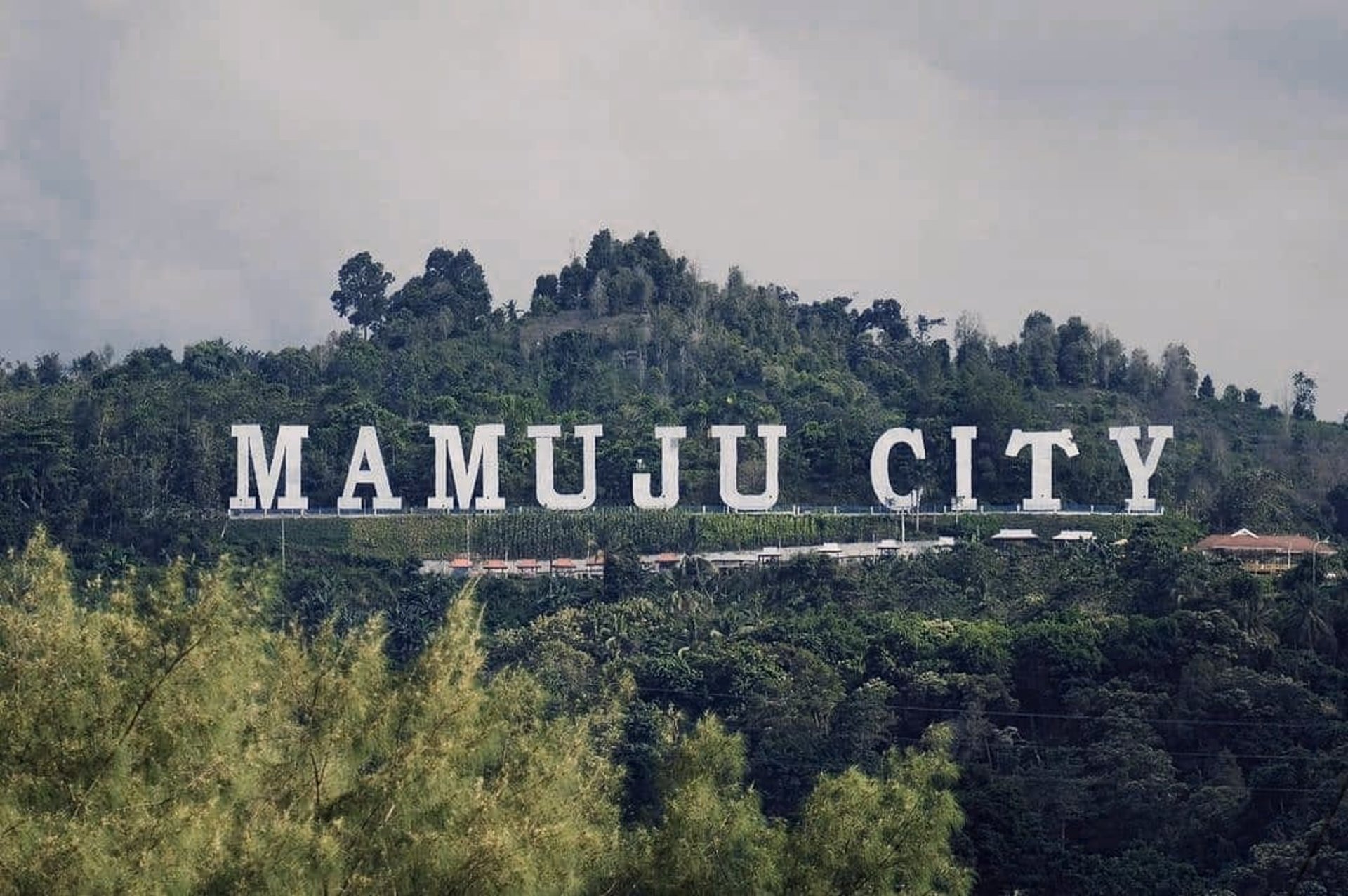 akuntan dan konsultan pajak di mamuju