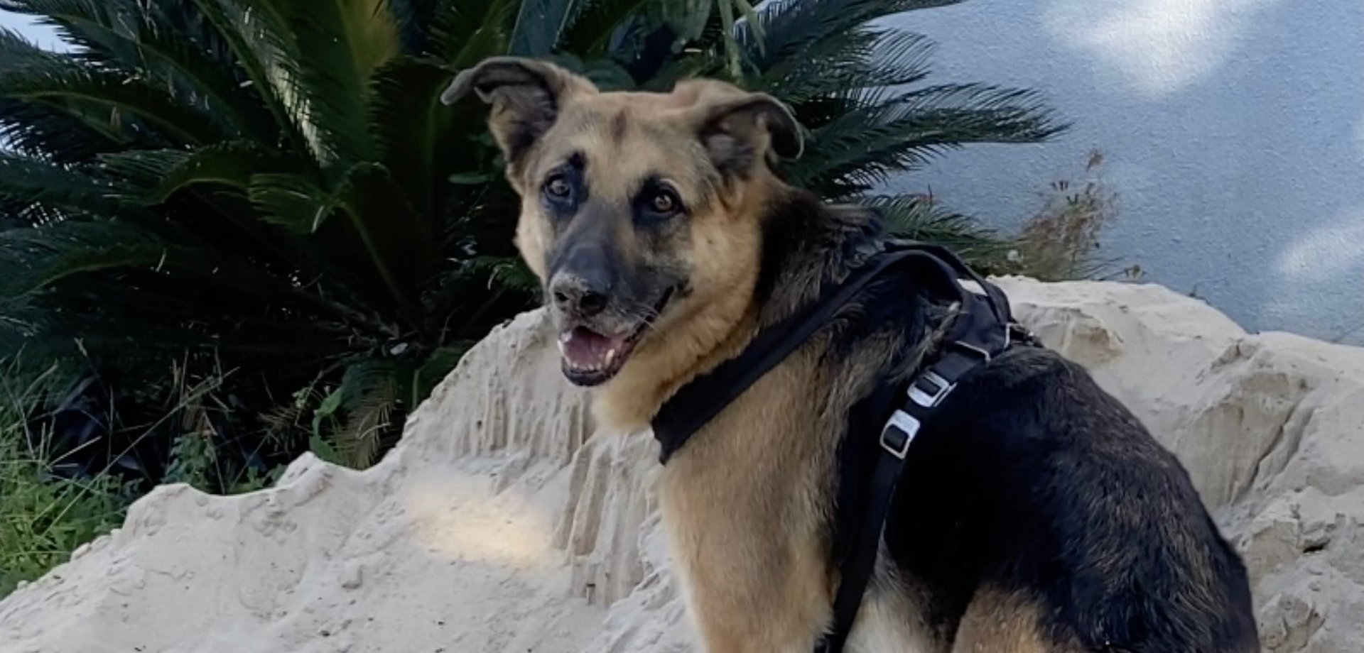 an abstract photo of a curved building with a blue sky in the background