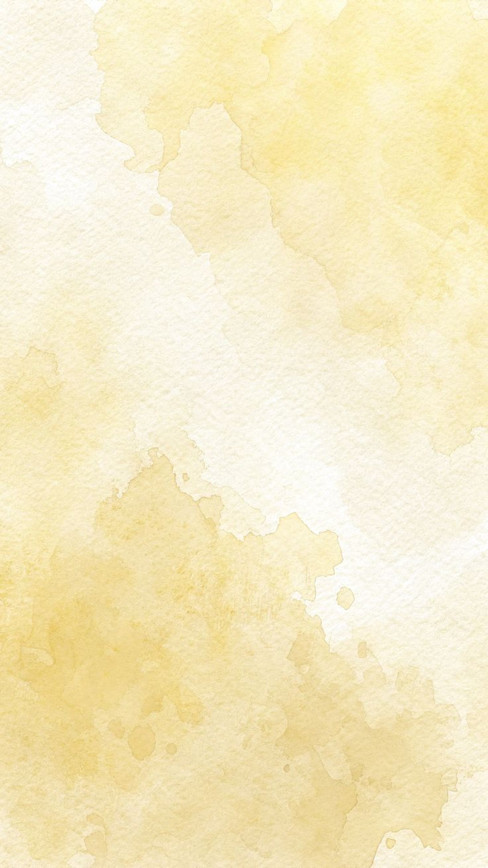 graphical user interface, application