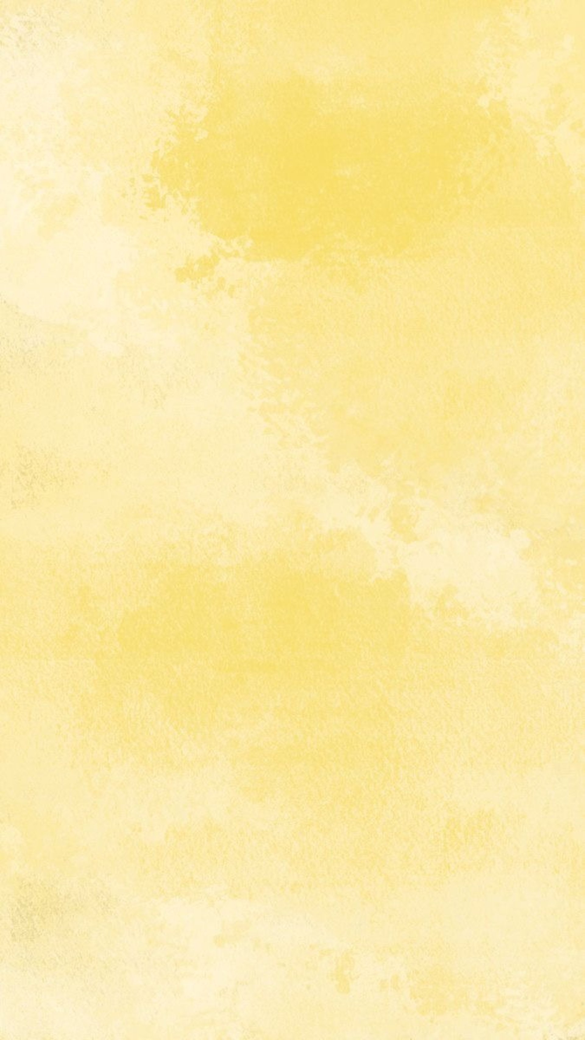 graphical user interface, application