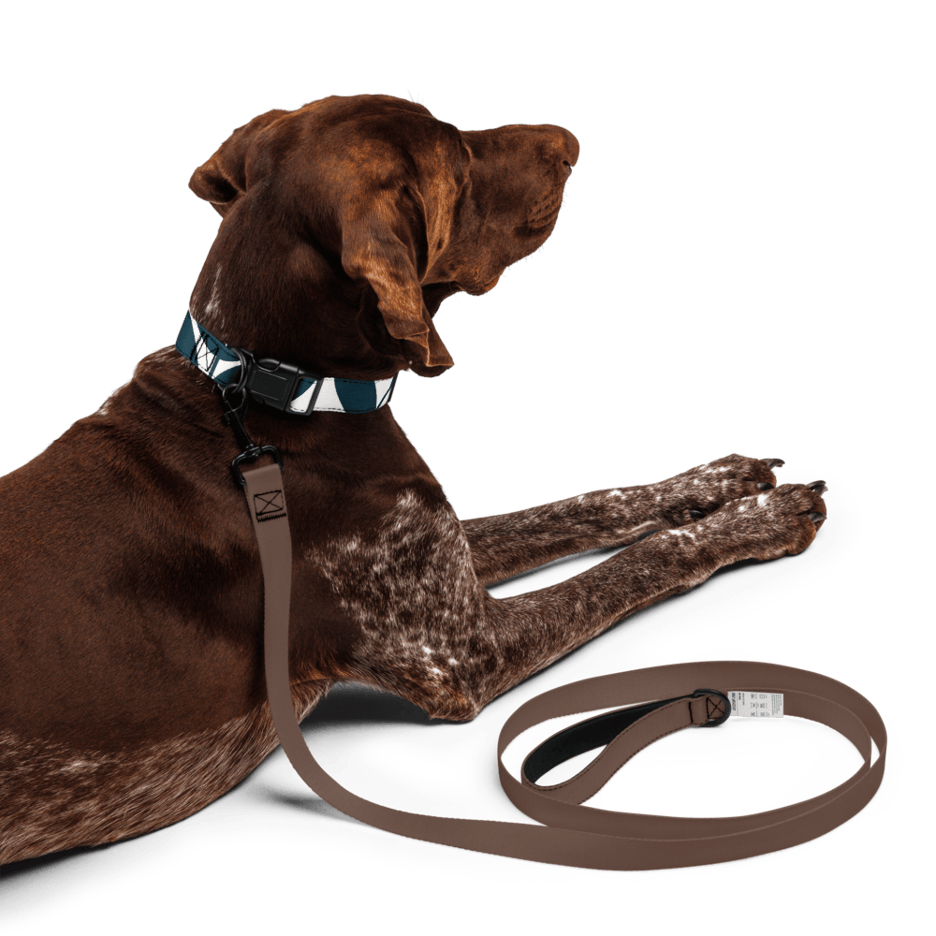 black and white bed linen