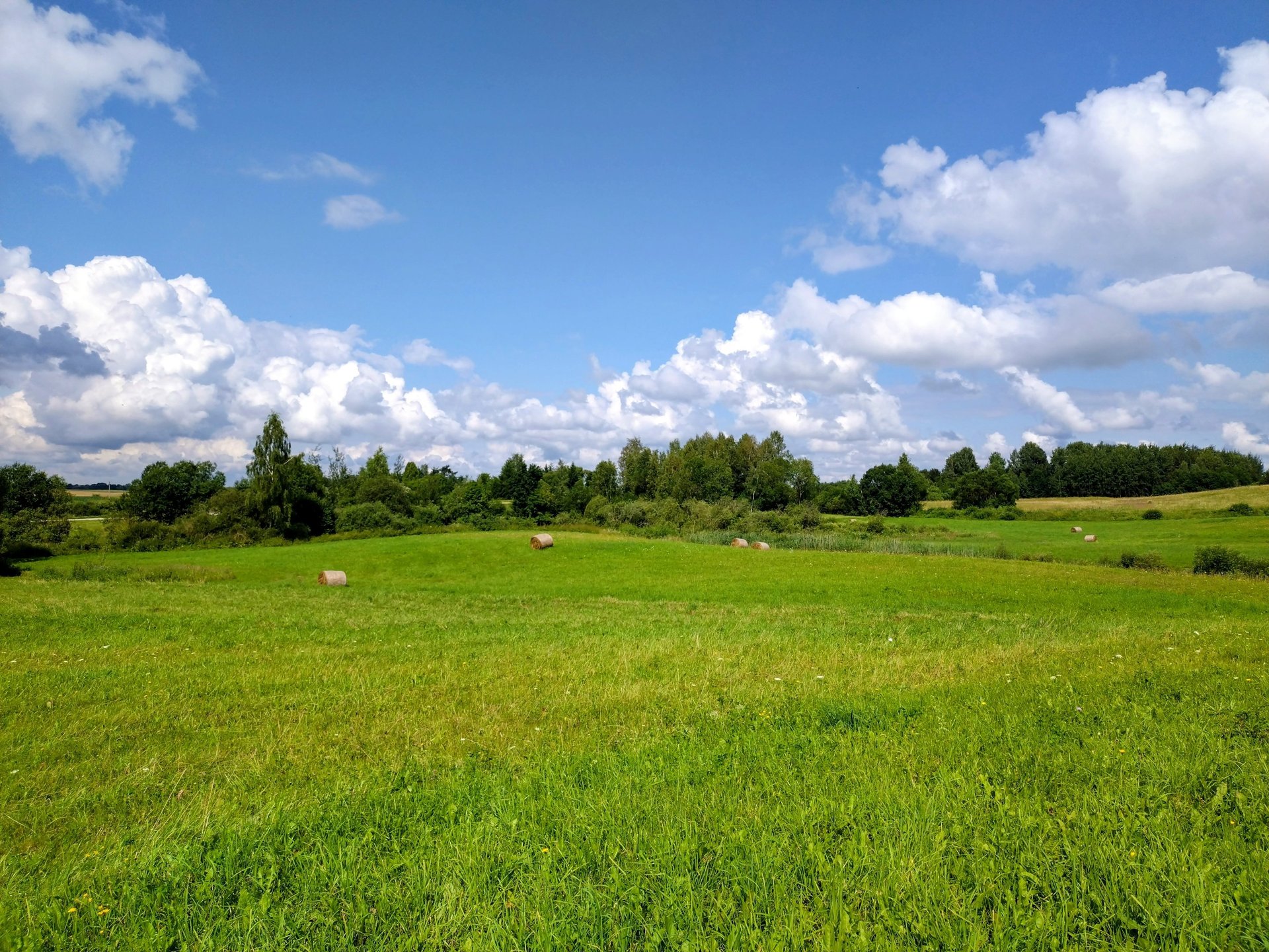 black and brown leather padded tub sofa