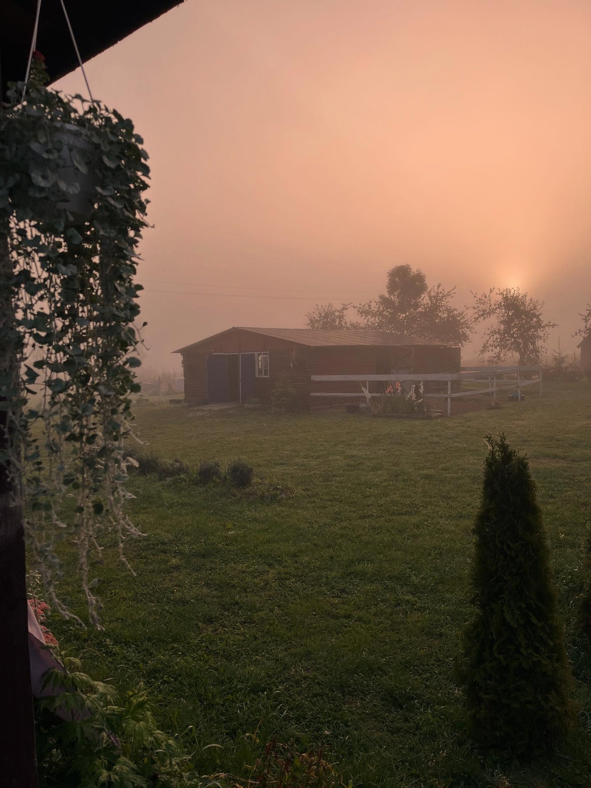 black ceramic vase on white textile