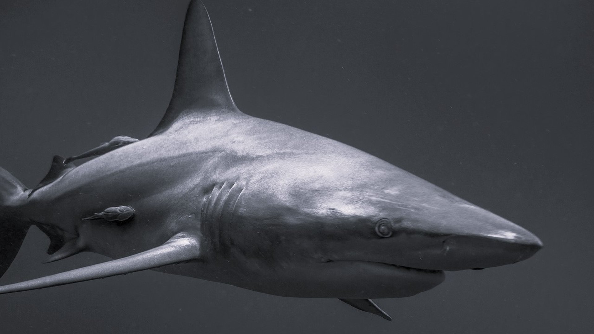 Capacitación de Ventas