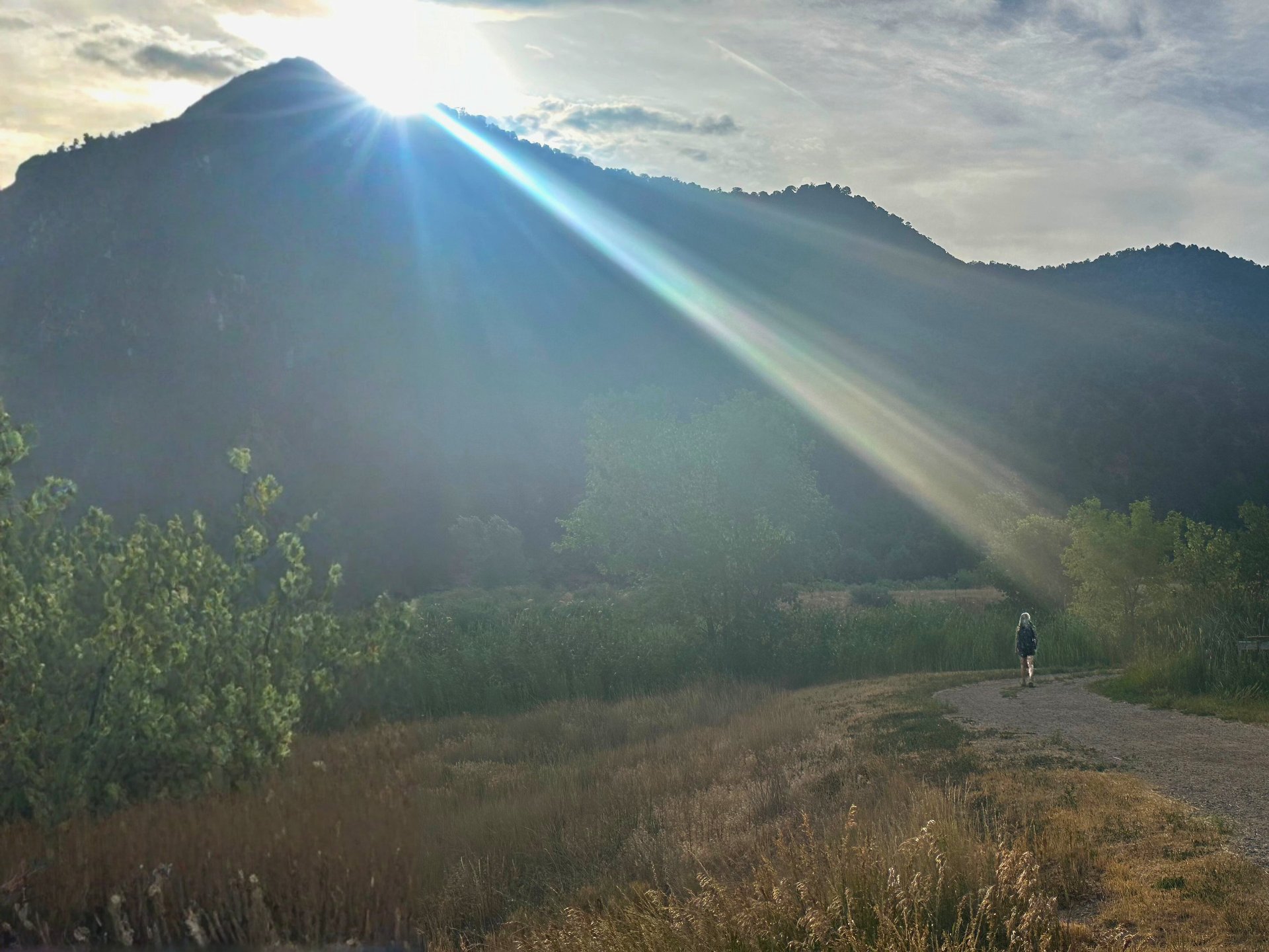 a close up of a black and brown abstract painting