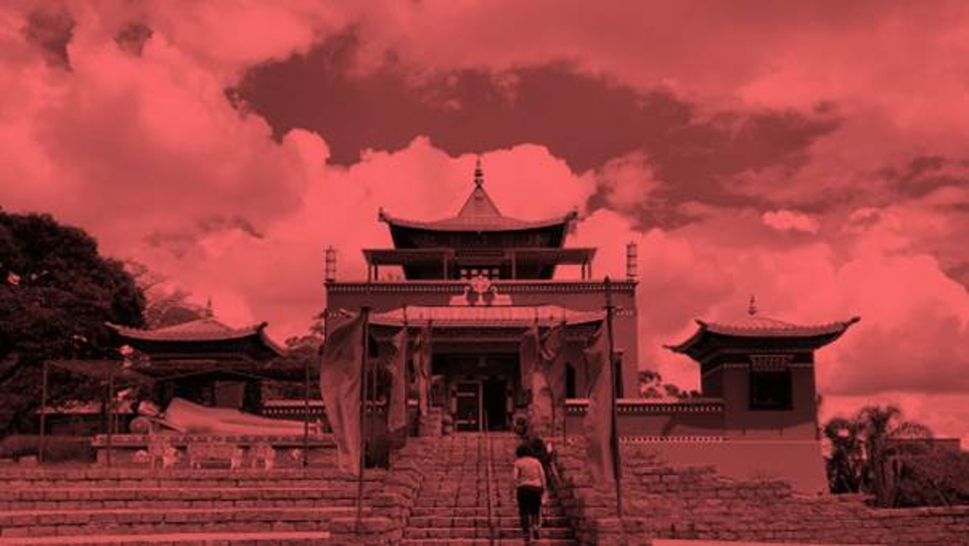 brown and gray concrete building