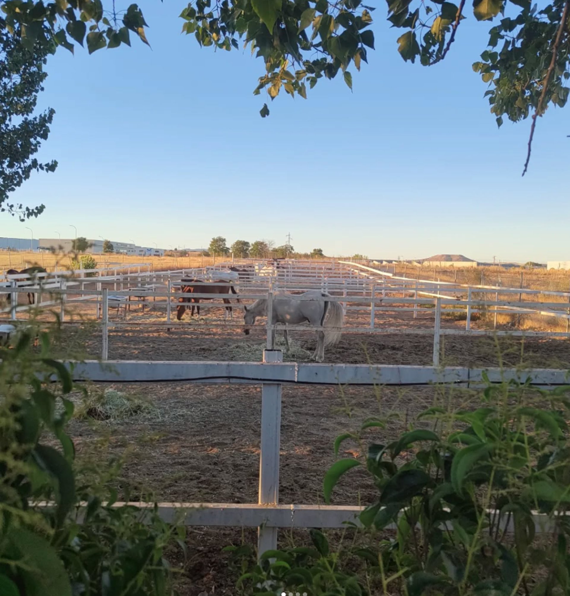 woman in white long sleeve shirt and brown skirt sitting on brown rock during daytime