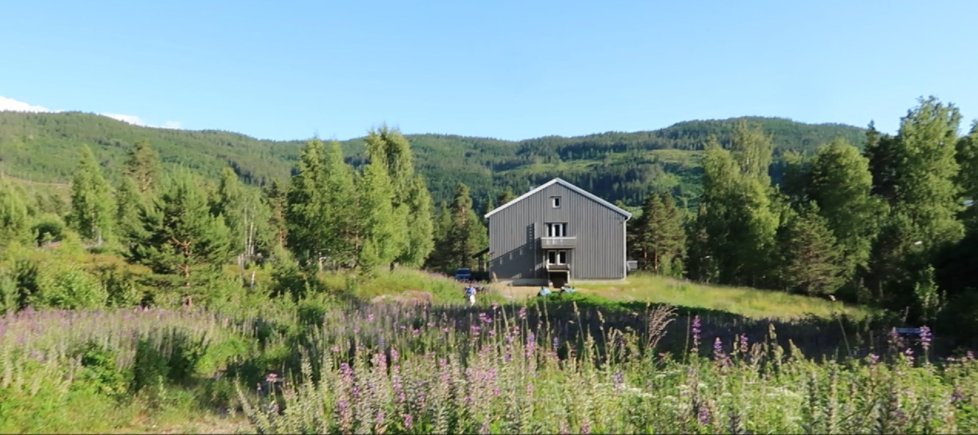 black and white bed linen