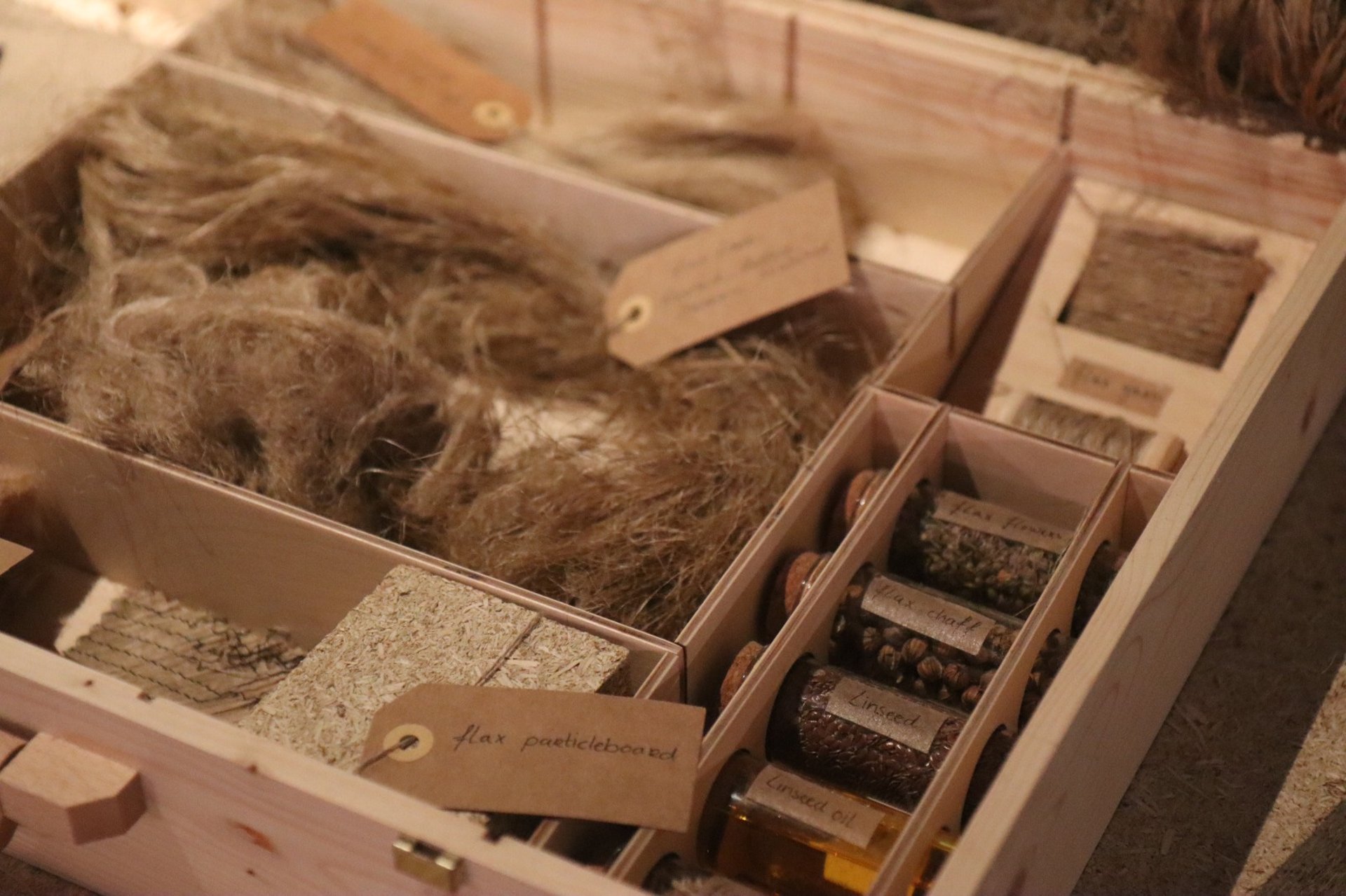 an abstract photo of a curved building with a blue sky in the background