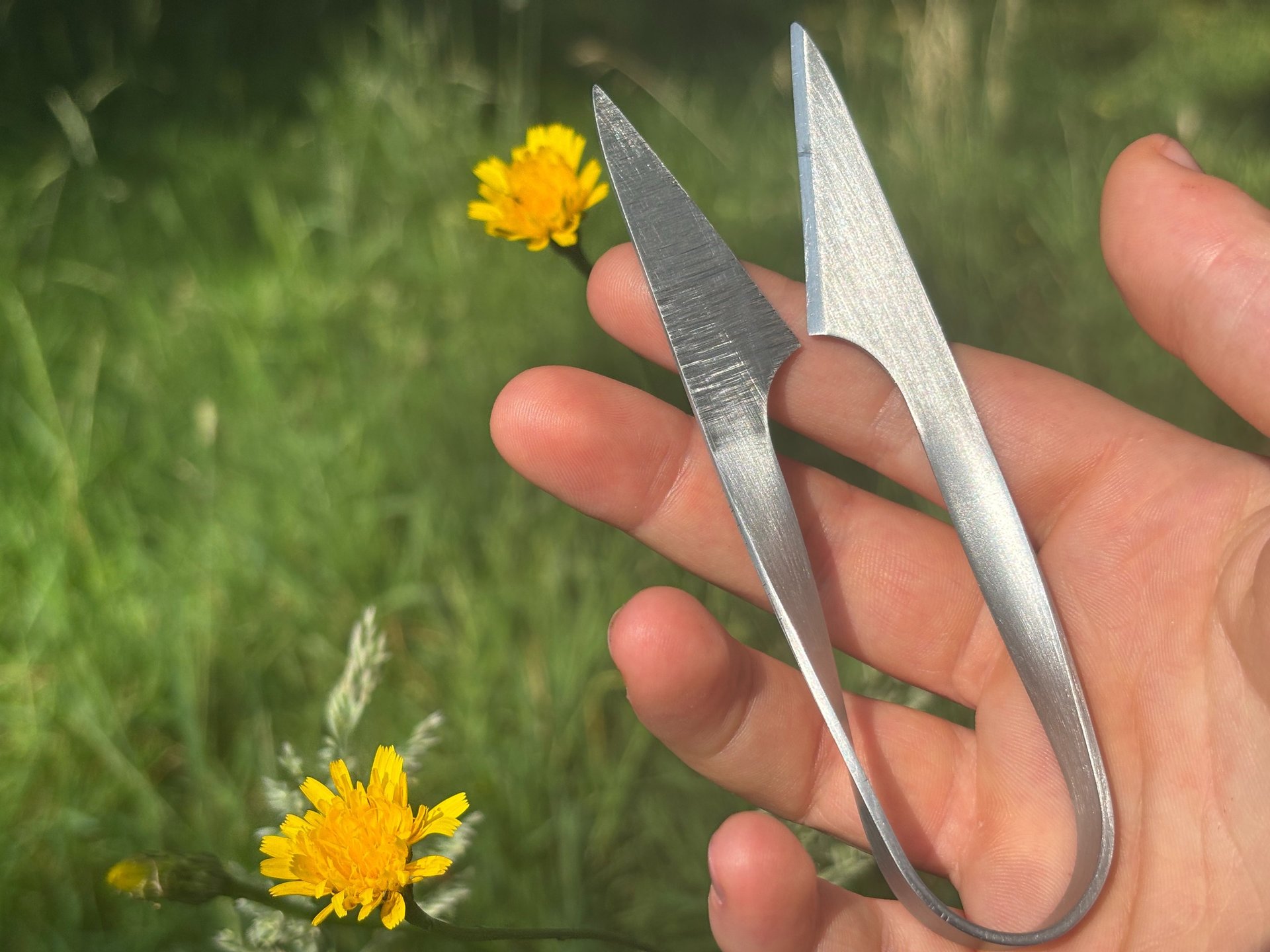 an abstract photo of a curved building with a blue sky in the background