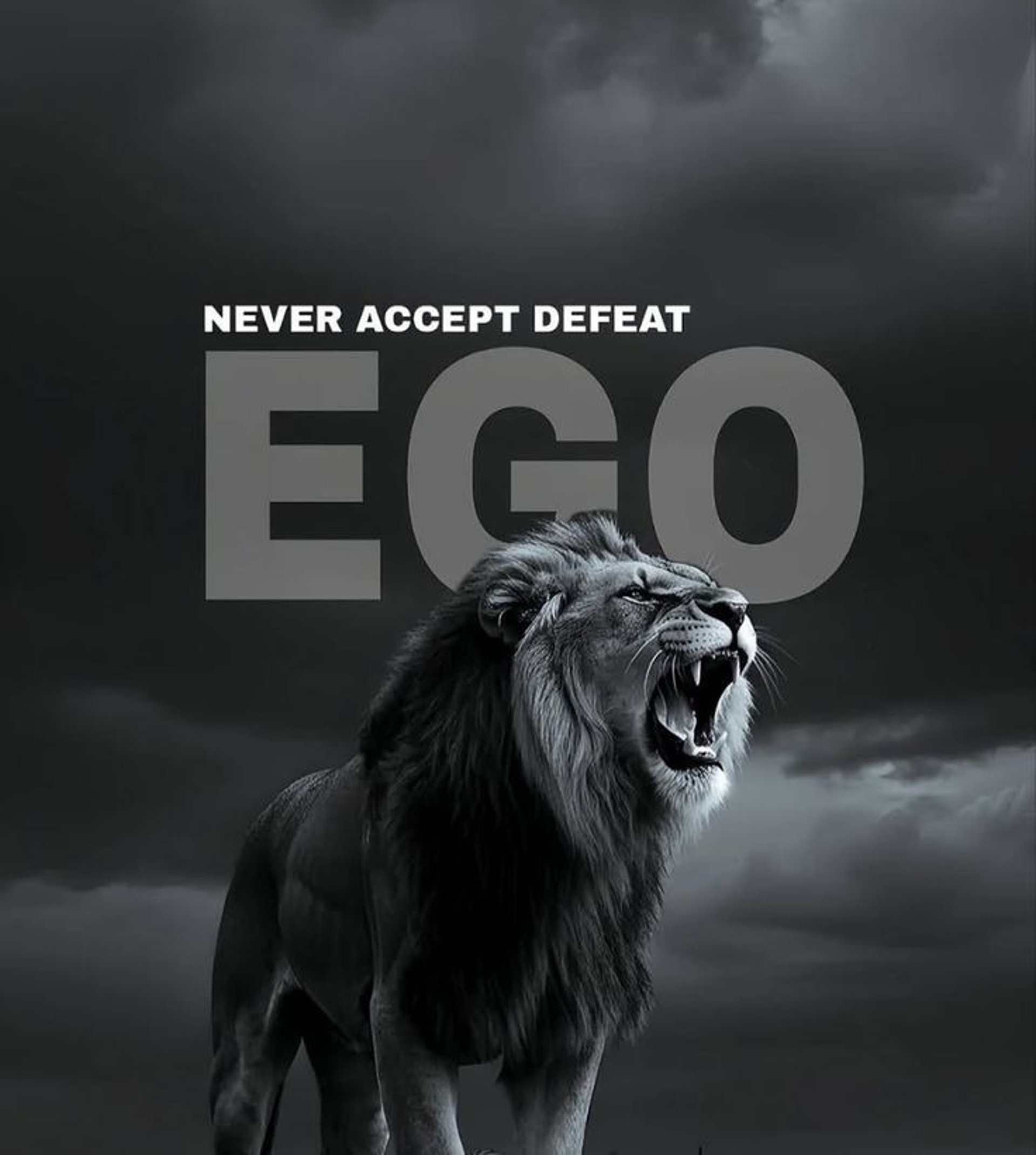 black nikon dslr camera on white printer paper