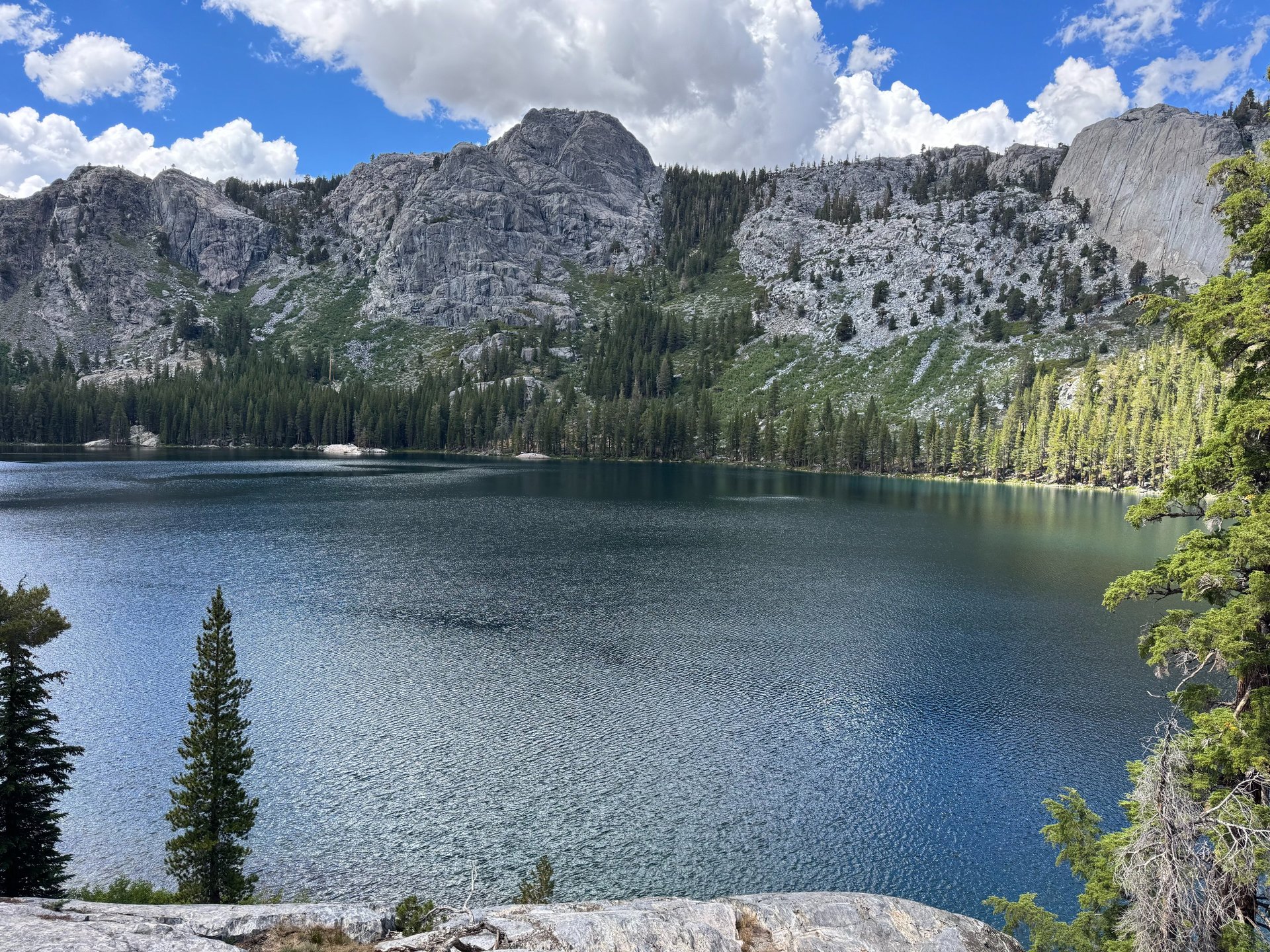 gray computer monitor