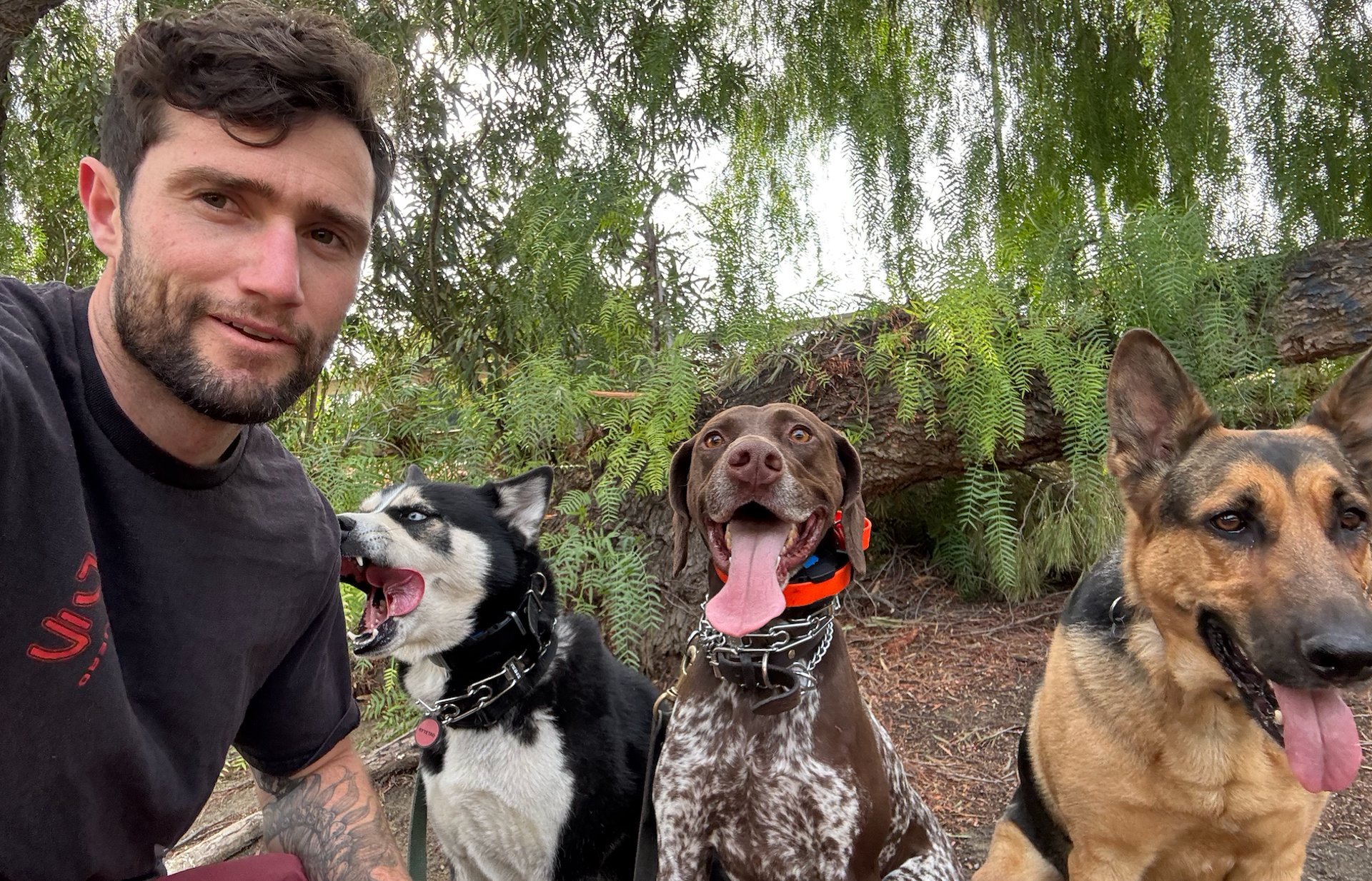 woman wearing yellow long-sleeved dress under white clouds and blue sky during daytime