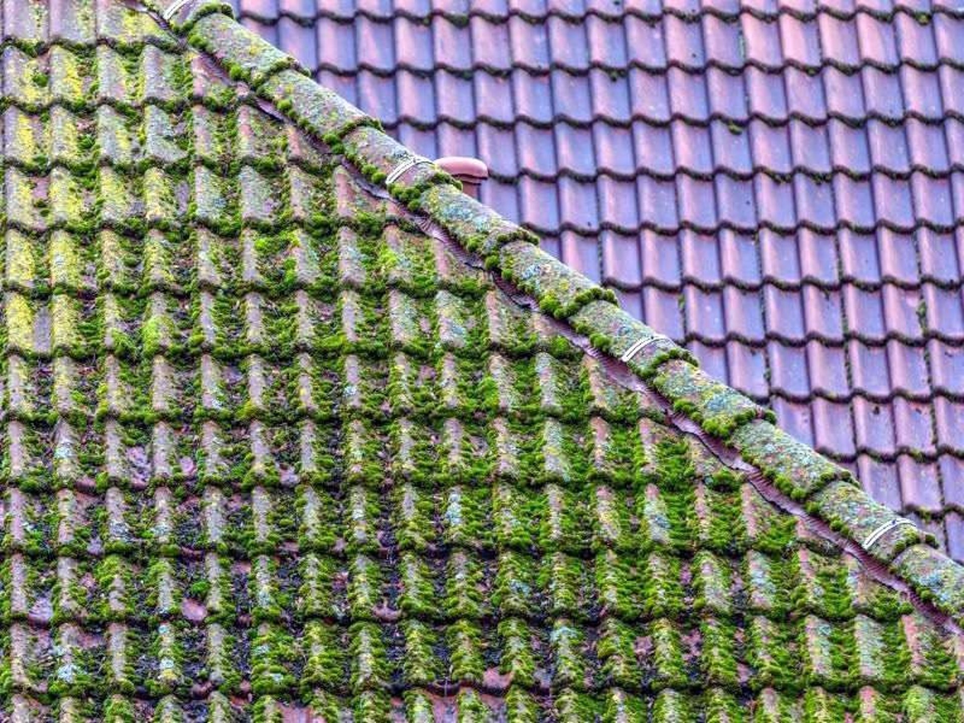 an abstract photo of a curved building with a blue sky in the background