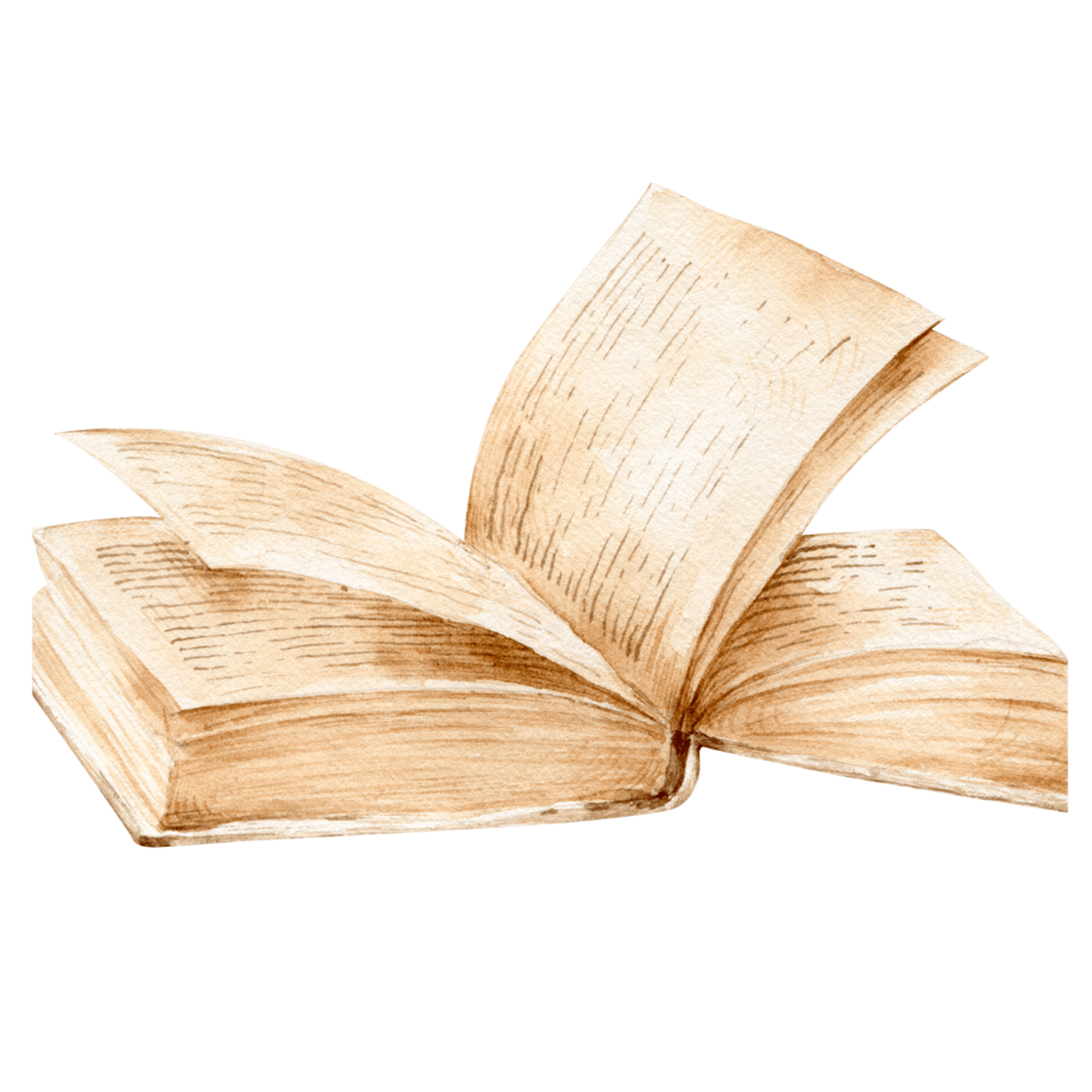 a group of open books