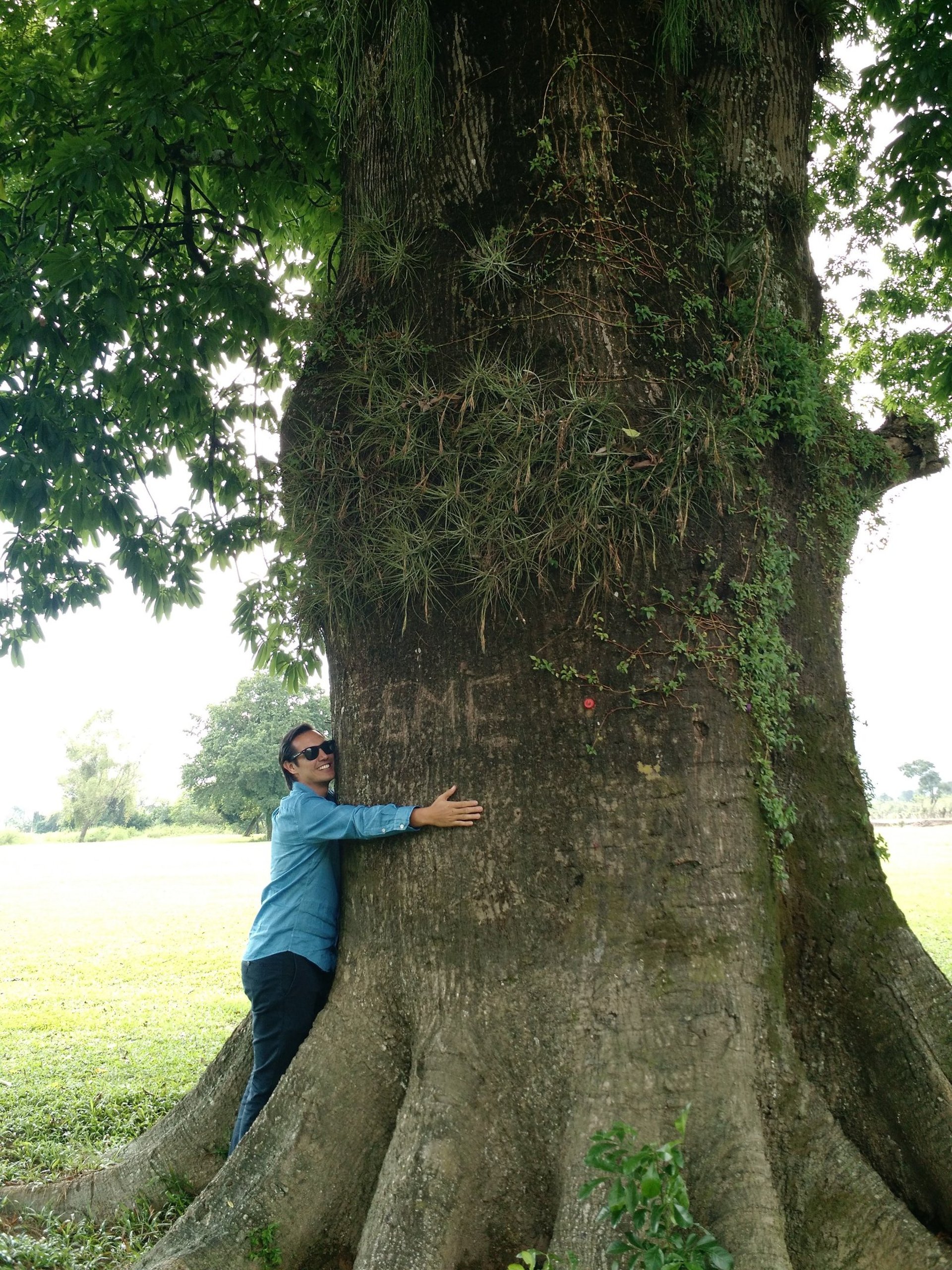 woman wearing yellow long-sleeved dress under white clouds and blue sky during daytime