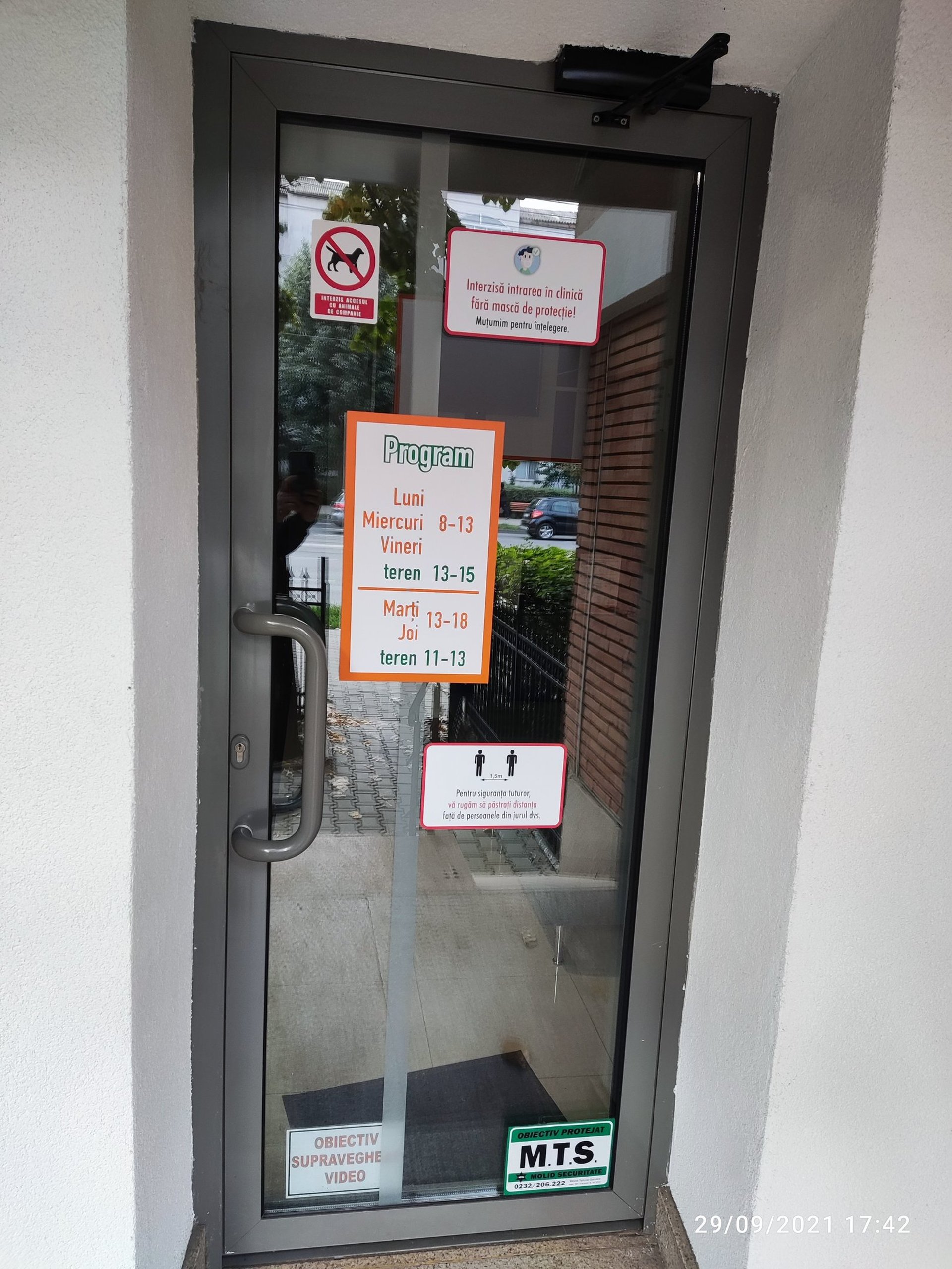 gray computer monitor