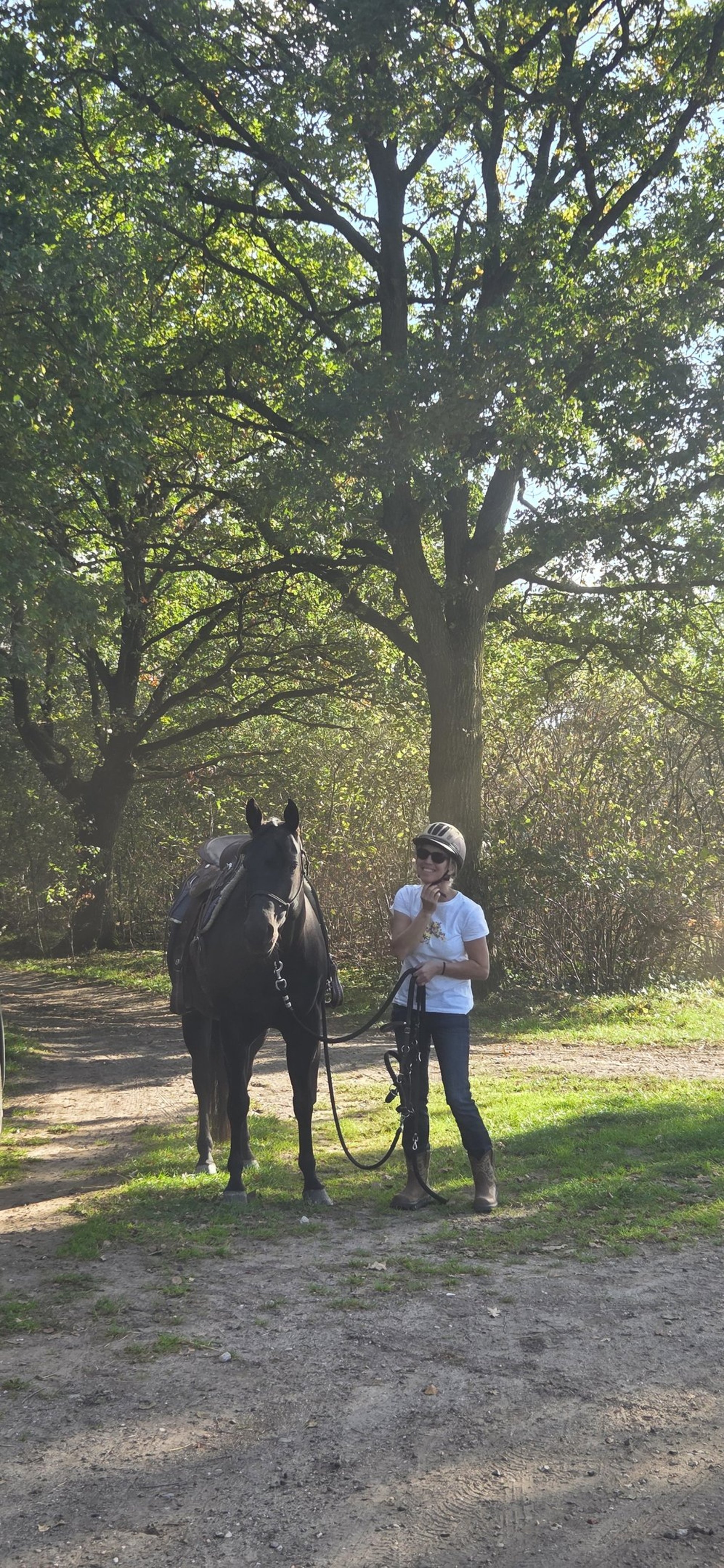 black and brown leather padded tub sofa