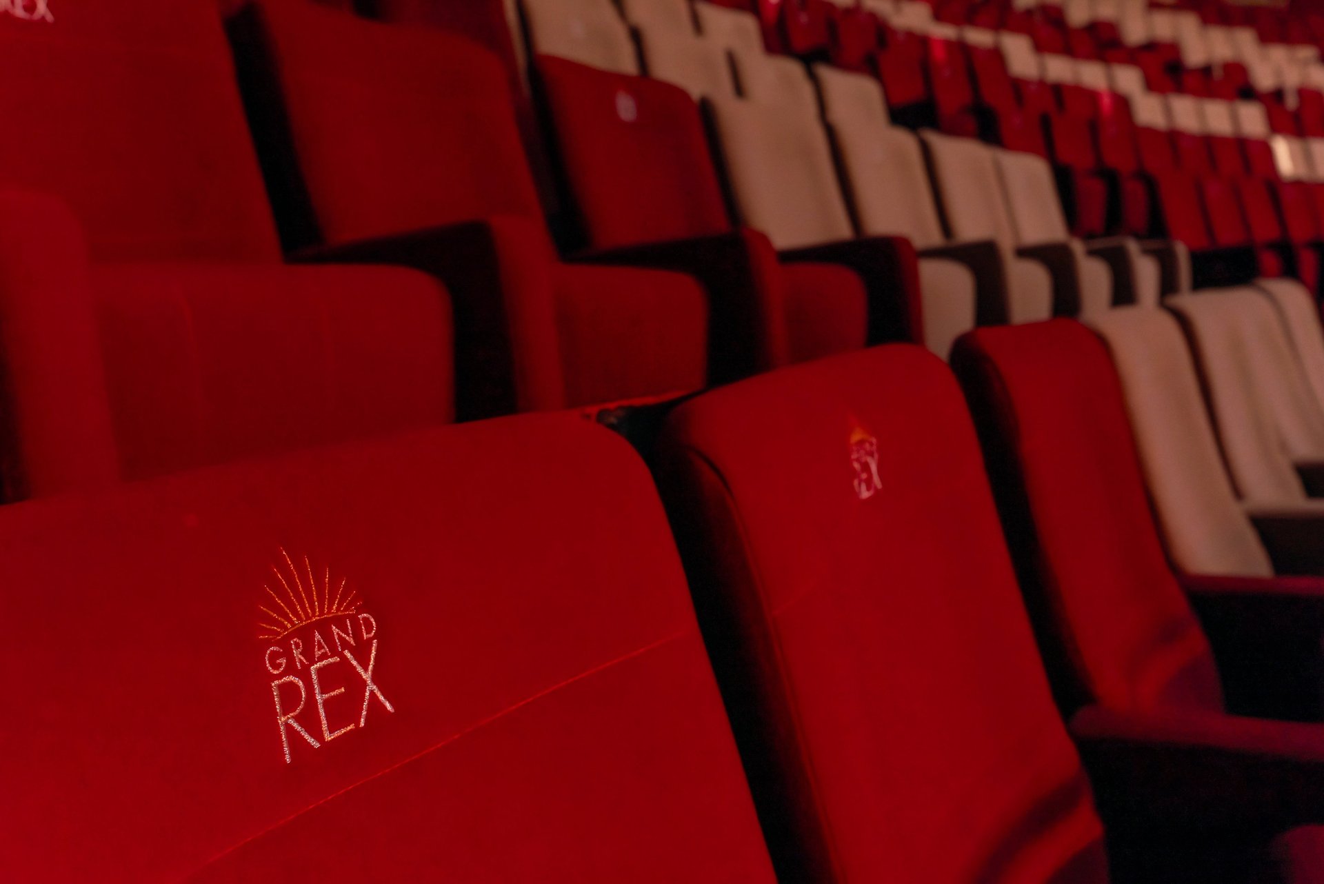 gray computer monitor