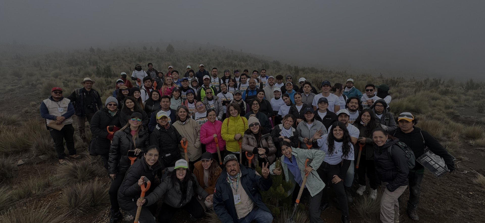 an abstract photo of a curved building with a blue sky in the background