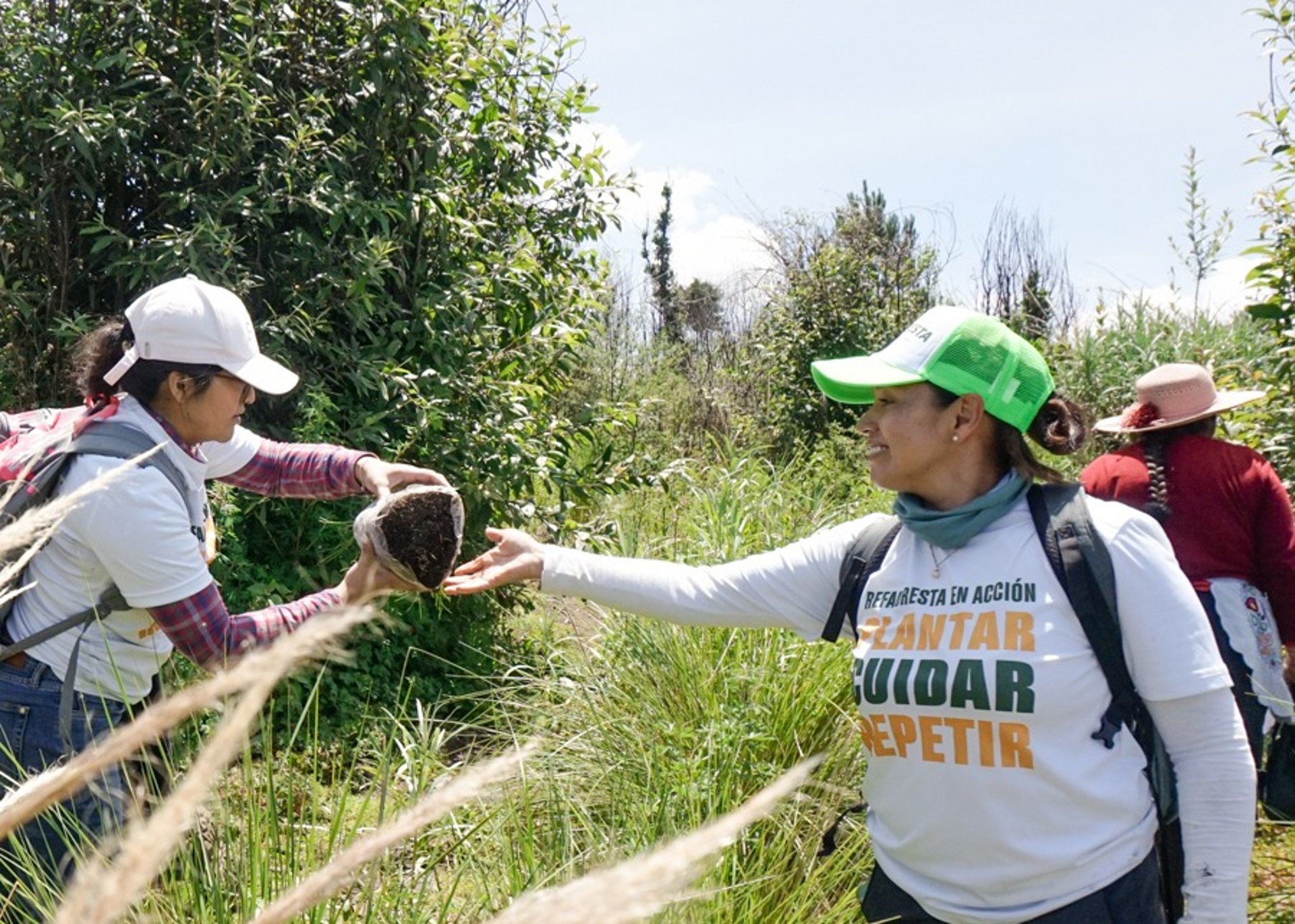 an abstract photo of a curved building with a blue sky in the background