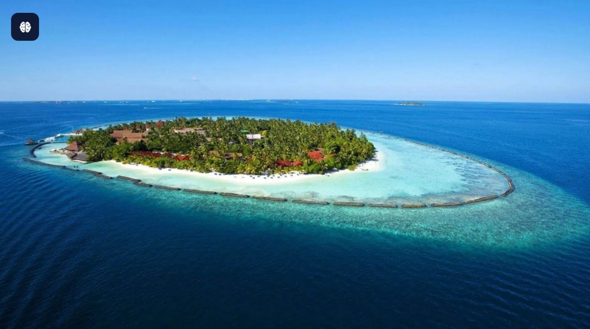 gray computer monitor