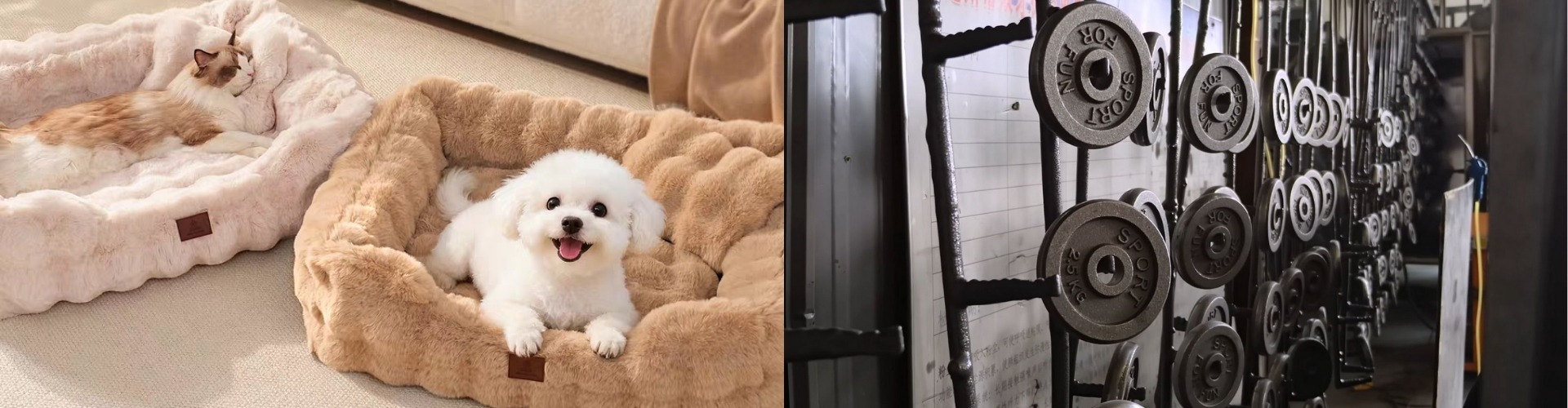 Wholesale home gym equipment for retailers. Maviet Supplies is your factory-direct B2B partner for fitness products.