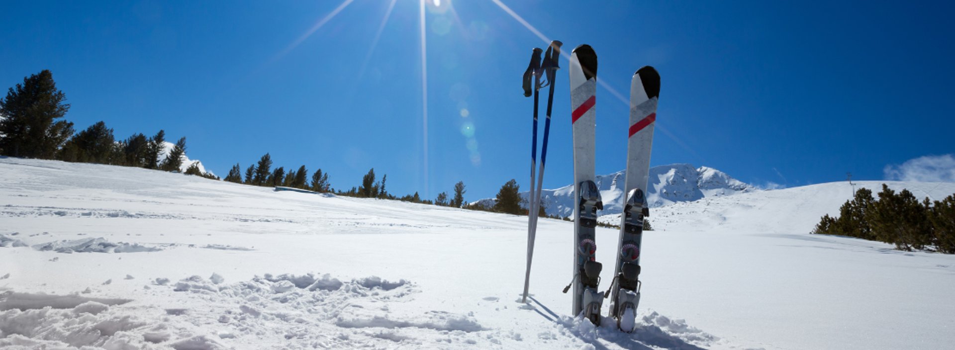 gray computer monitor
