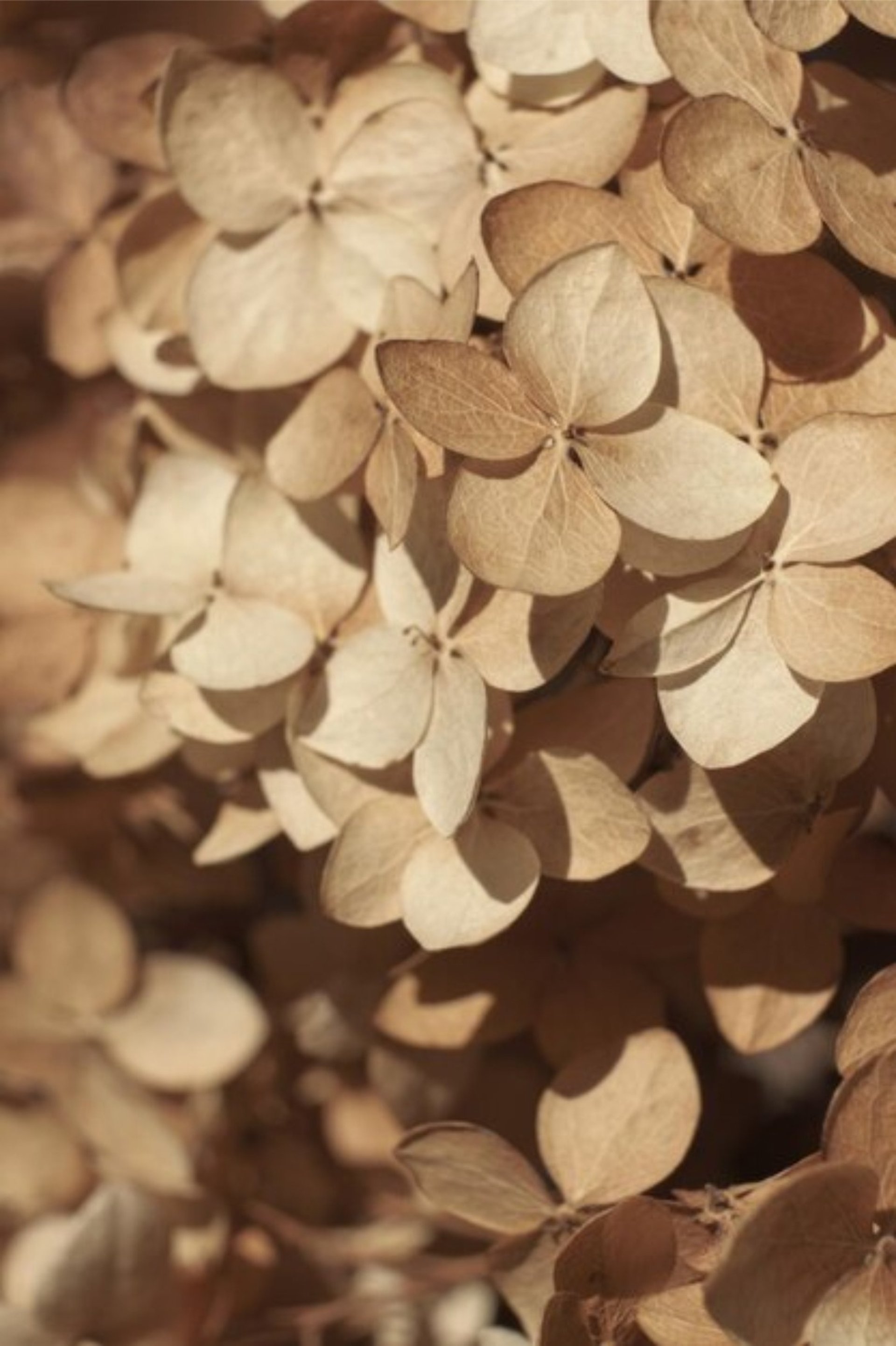 white textile on brown wooden table