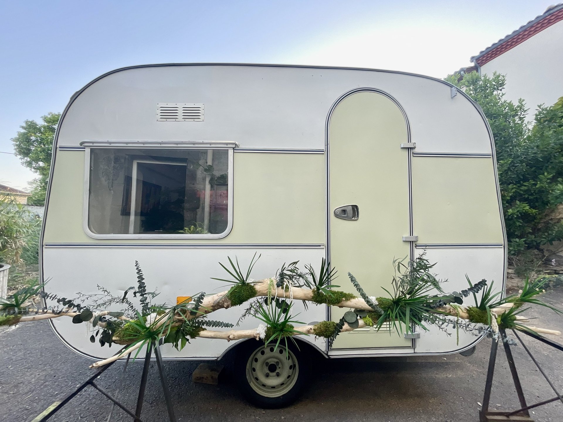 composition végétal stabilisé Bocal terrarium