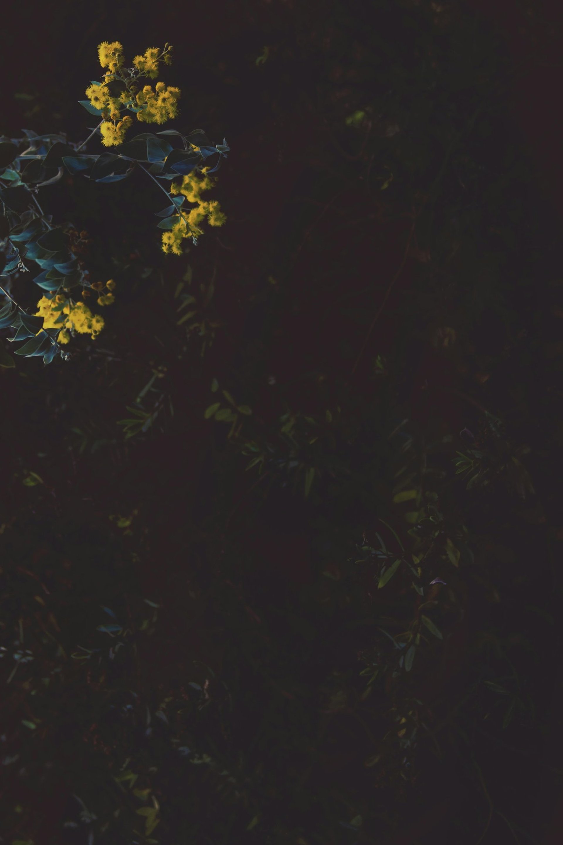 green textile on brown wooden table