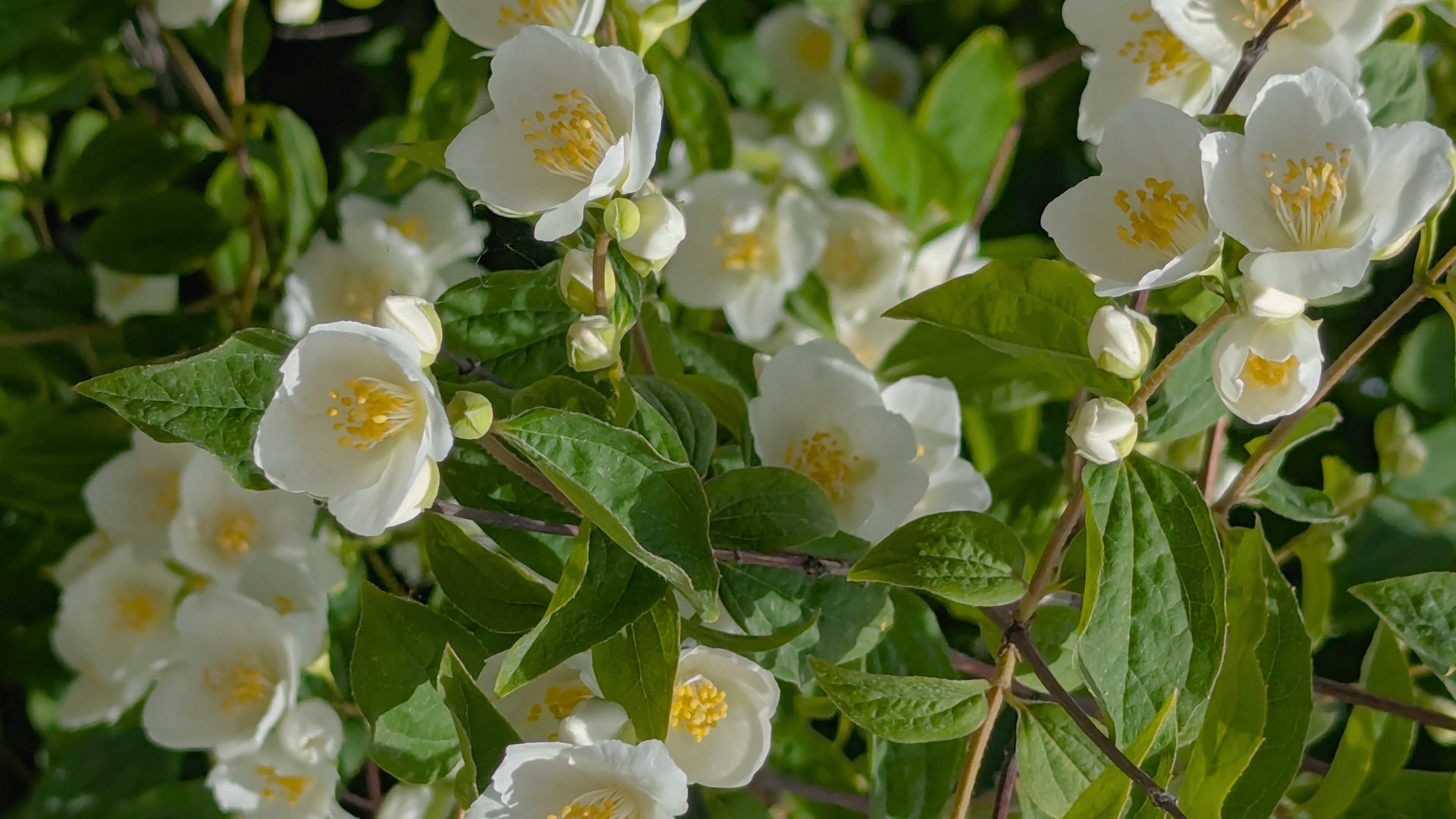 green textile on brown wooden table