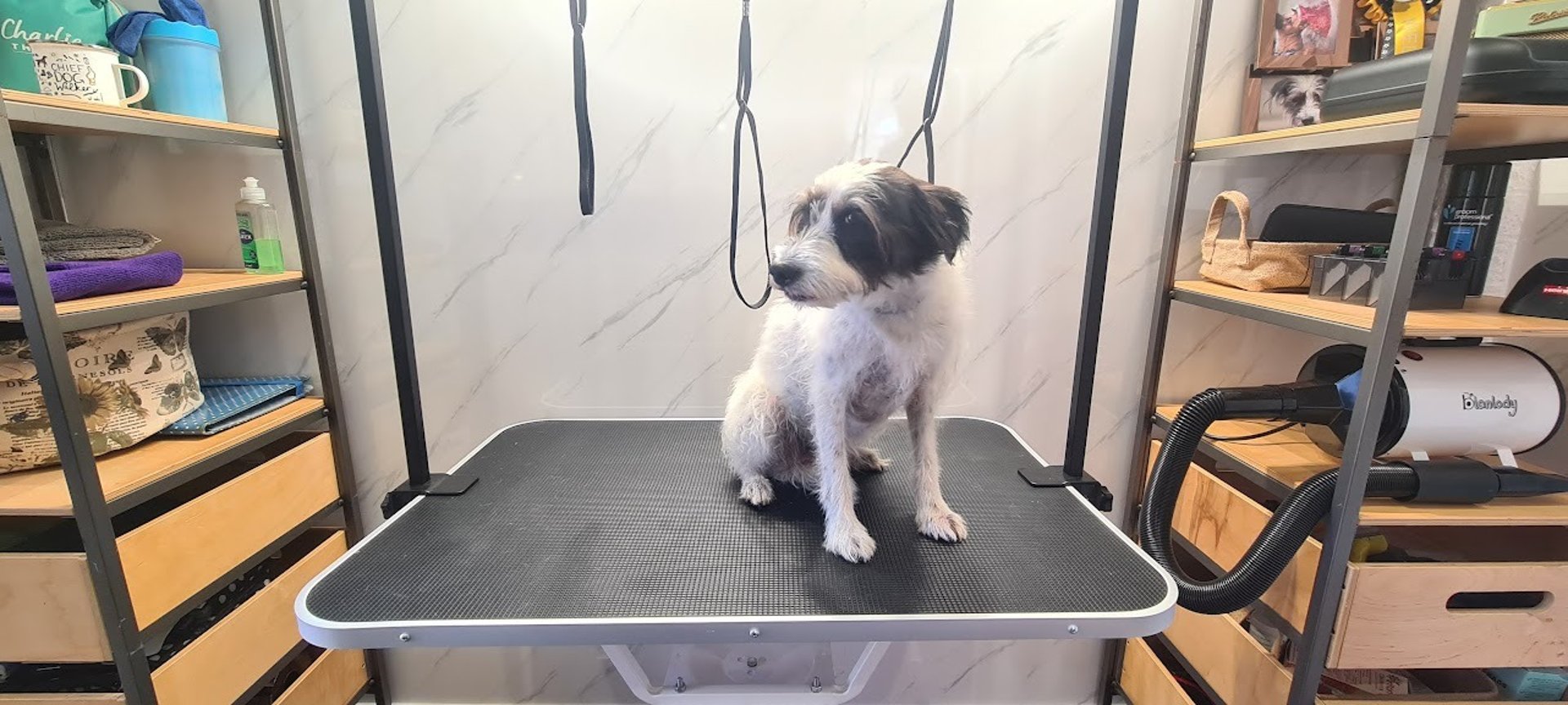 black and white bed linen