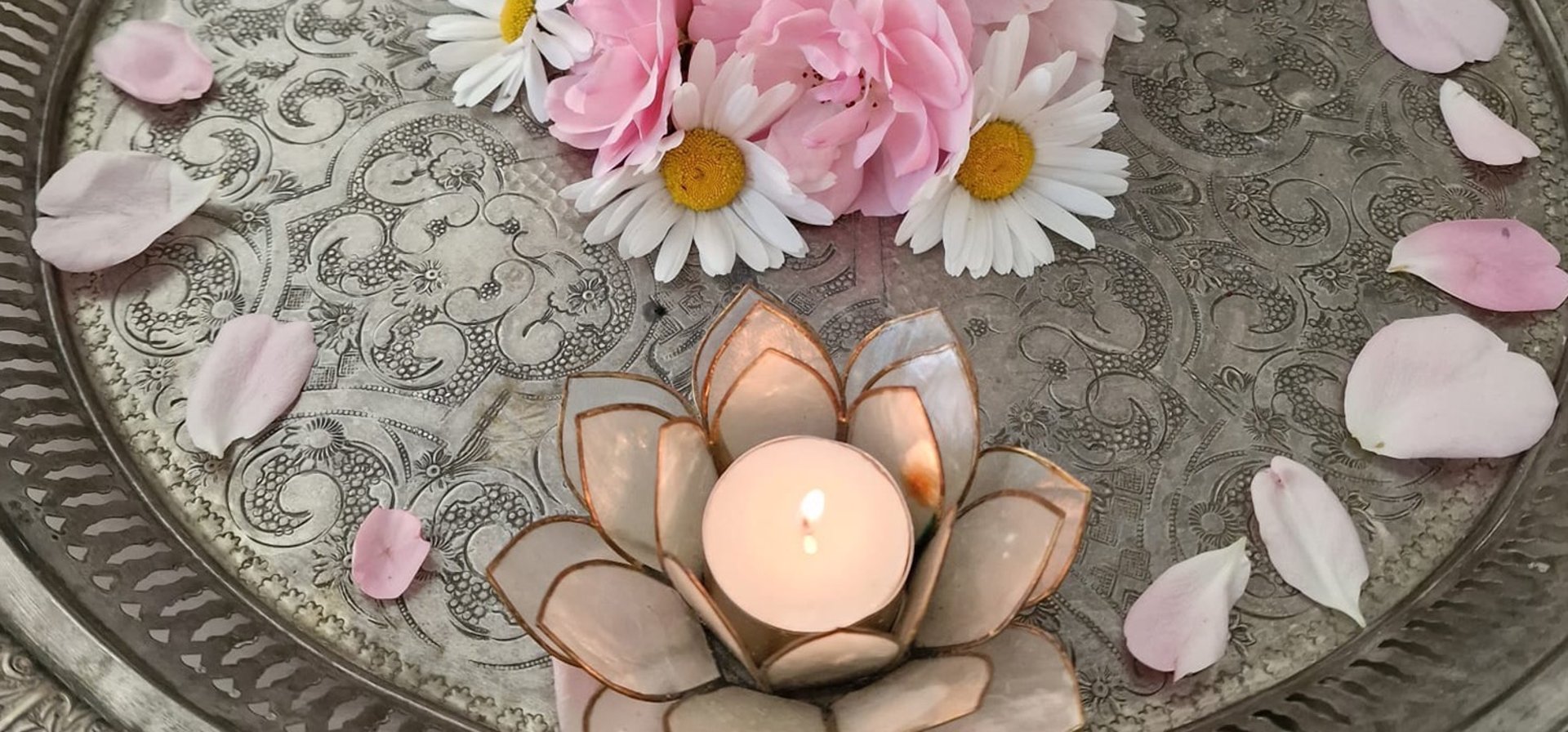 shallow focus photography of pink flower