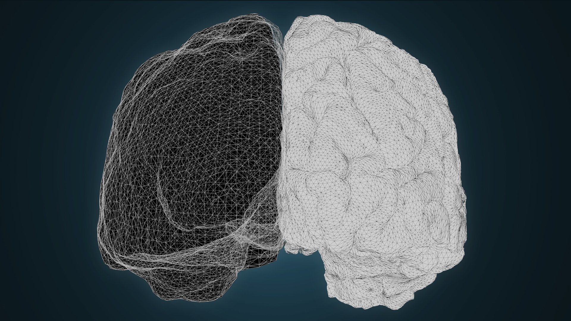 a computer generated image of a human brain