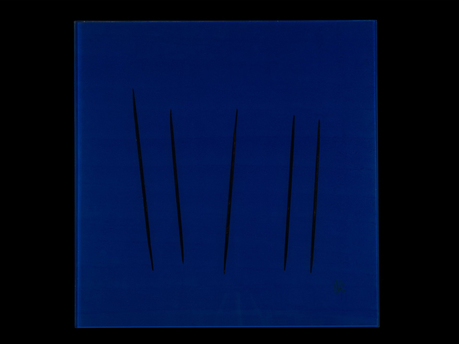 woman holding dried flower