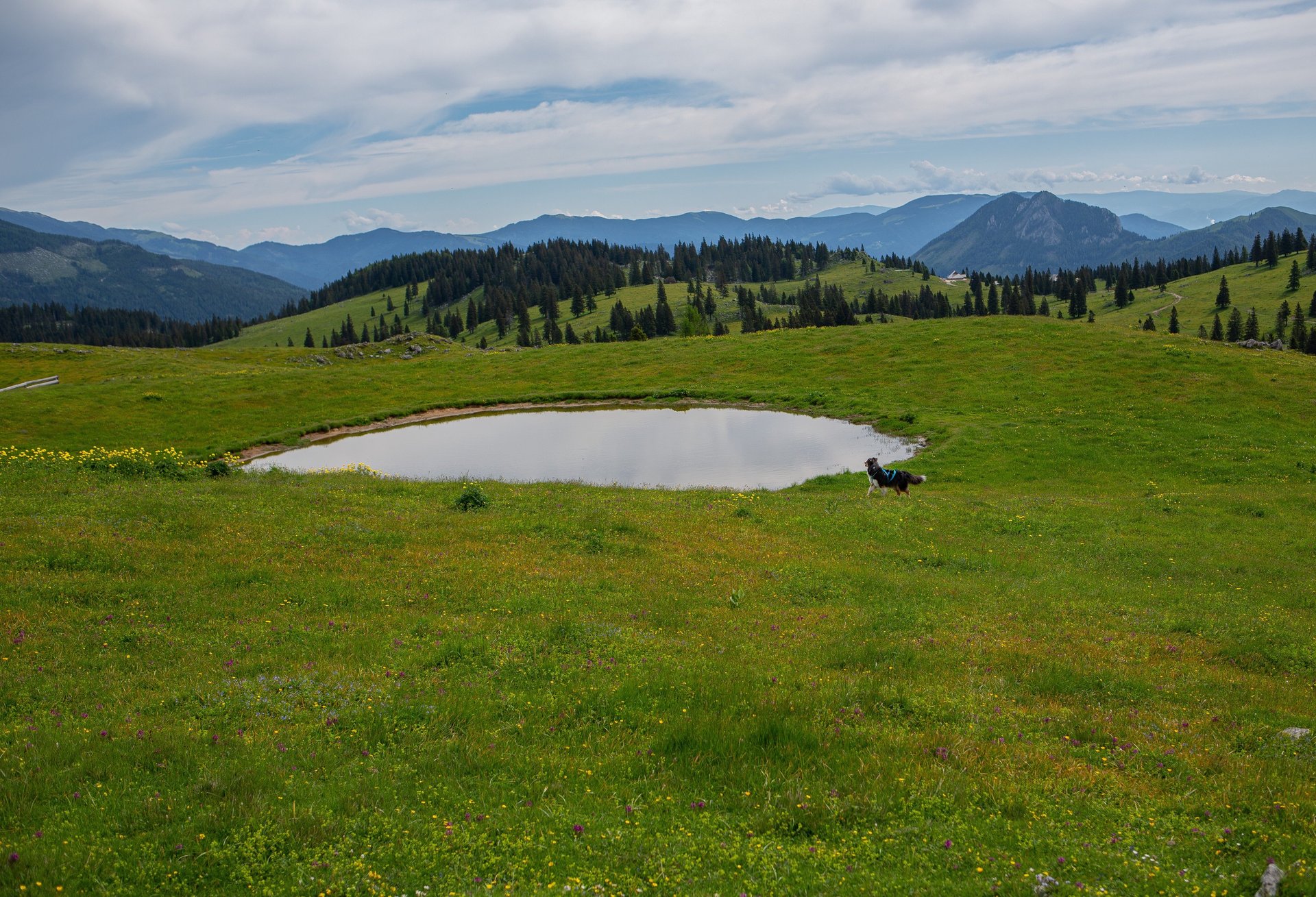 an abstract photo of a curved building with a blue sky in the background