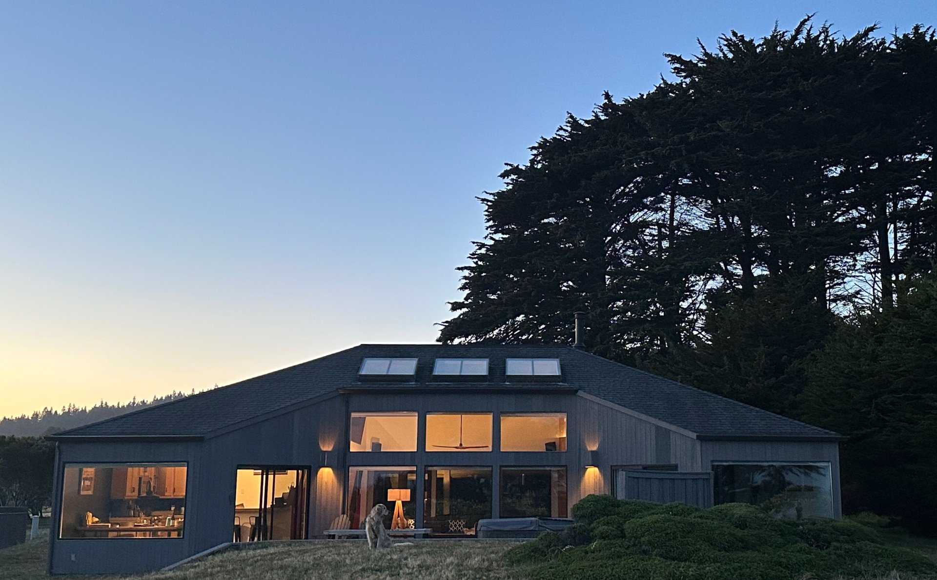 black and white bed linen