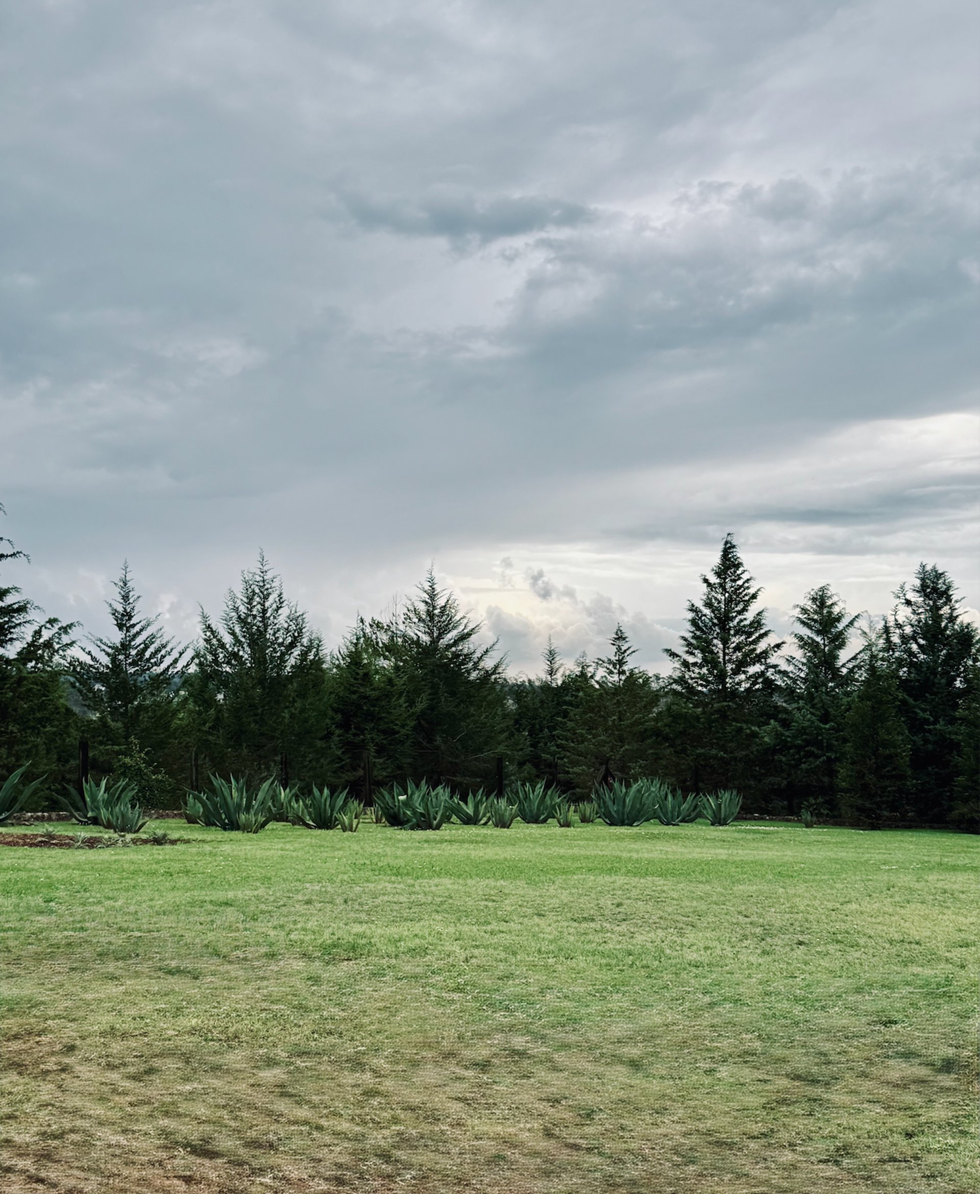 woman in white and brown dress standing on green grass during night time