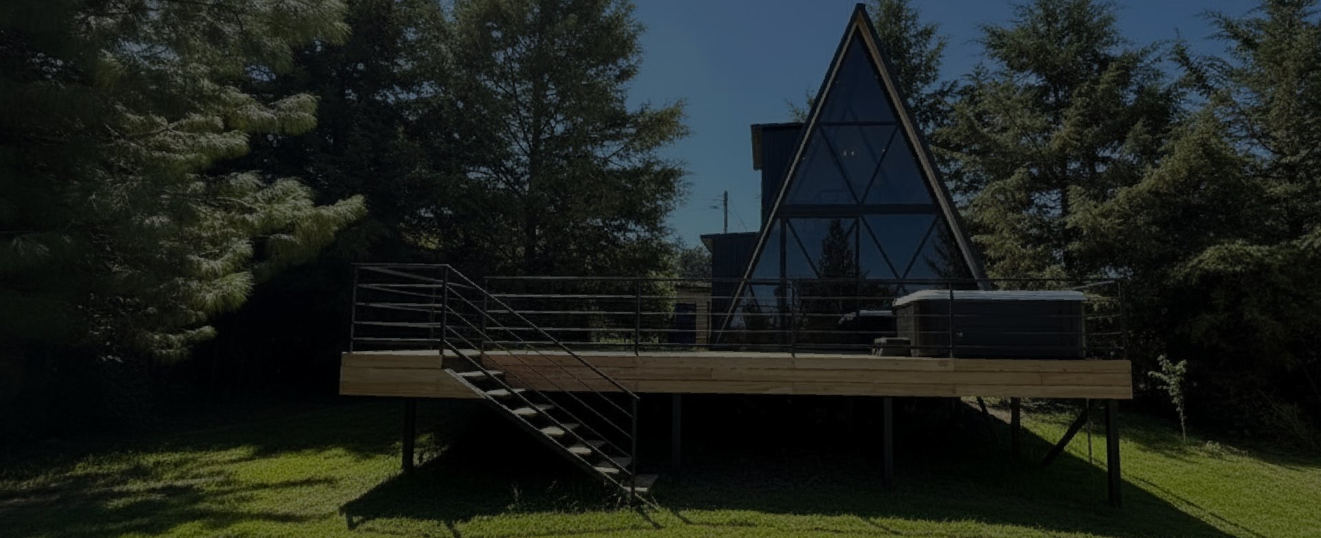 trees covered with fog