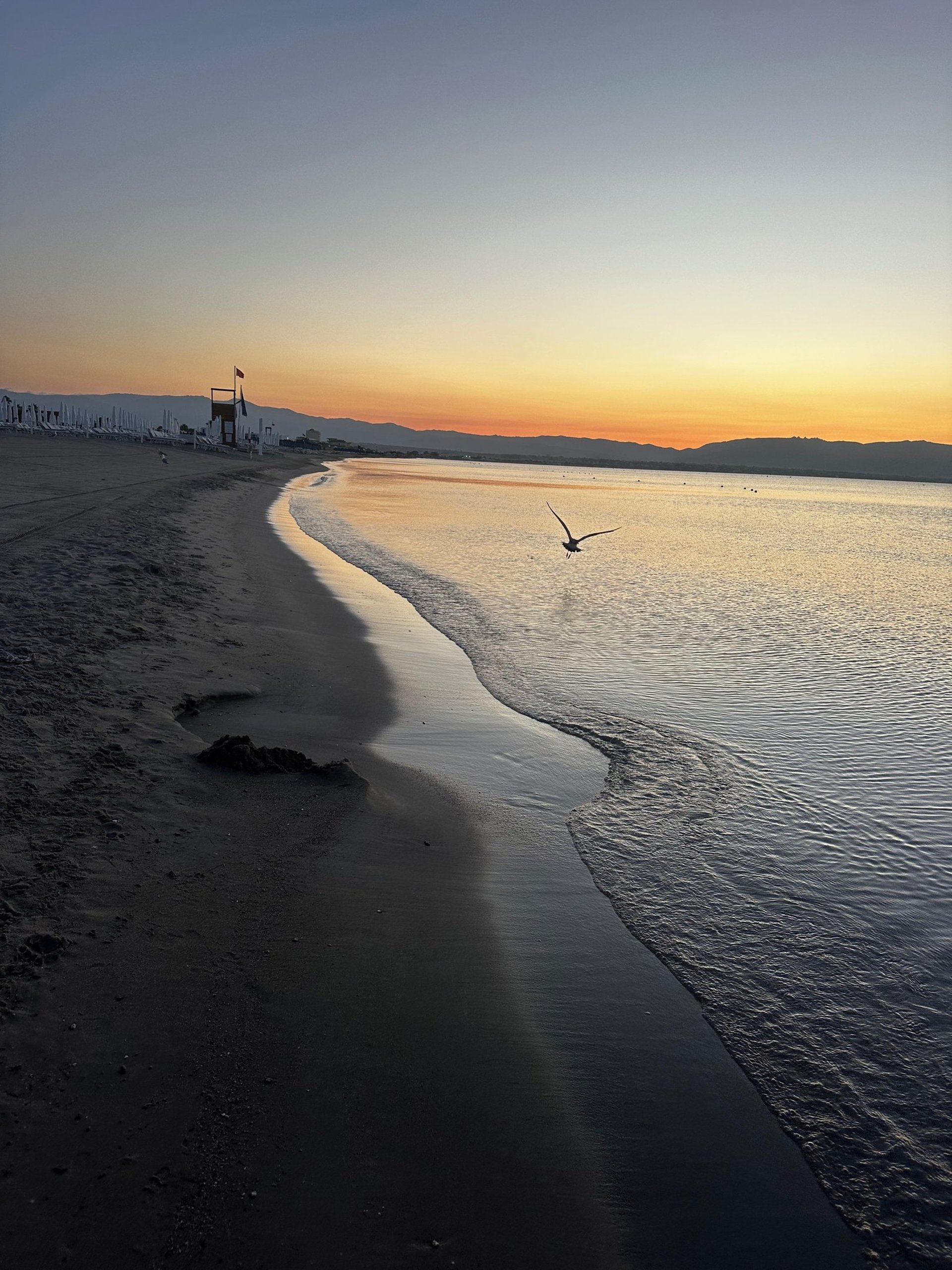 black and brown leather padded tub sofa